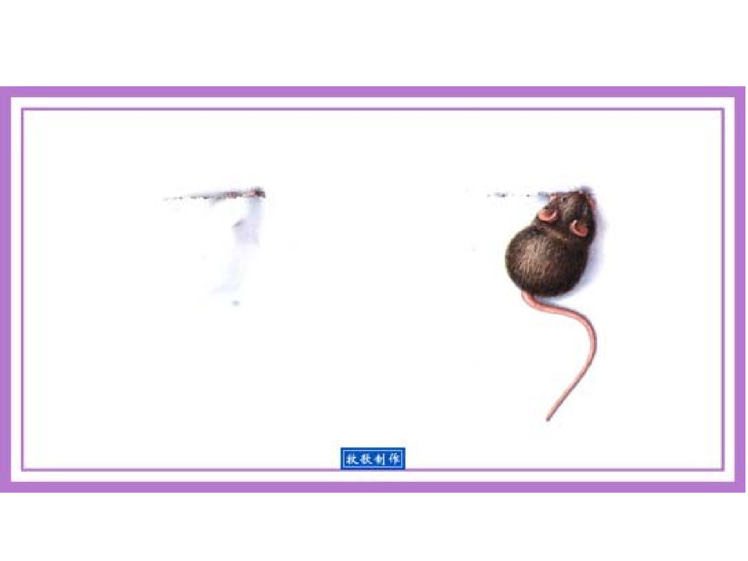 反正.ppt 第3页