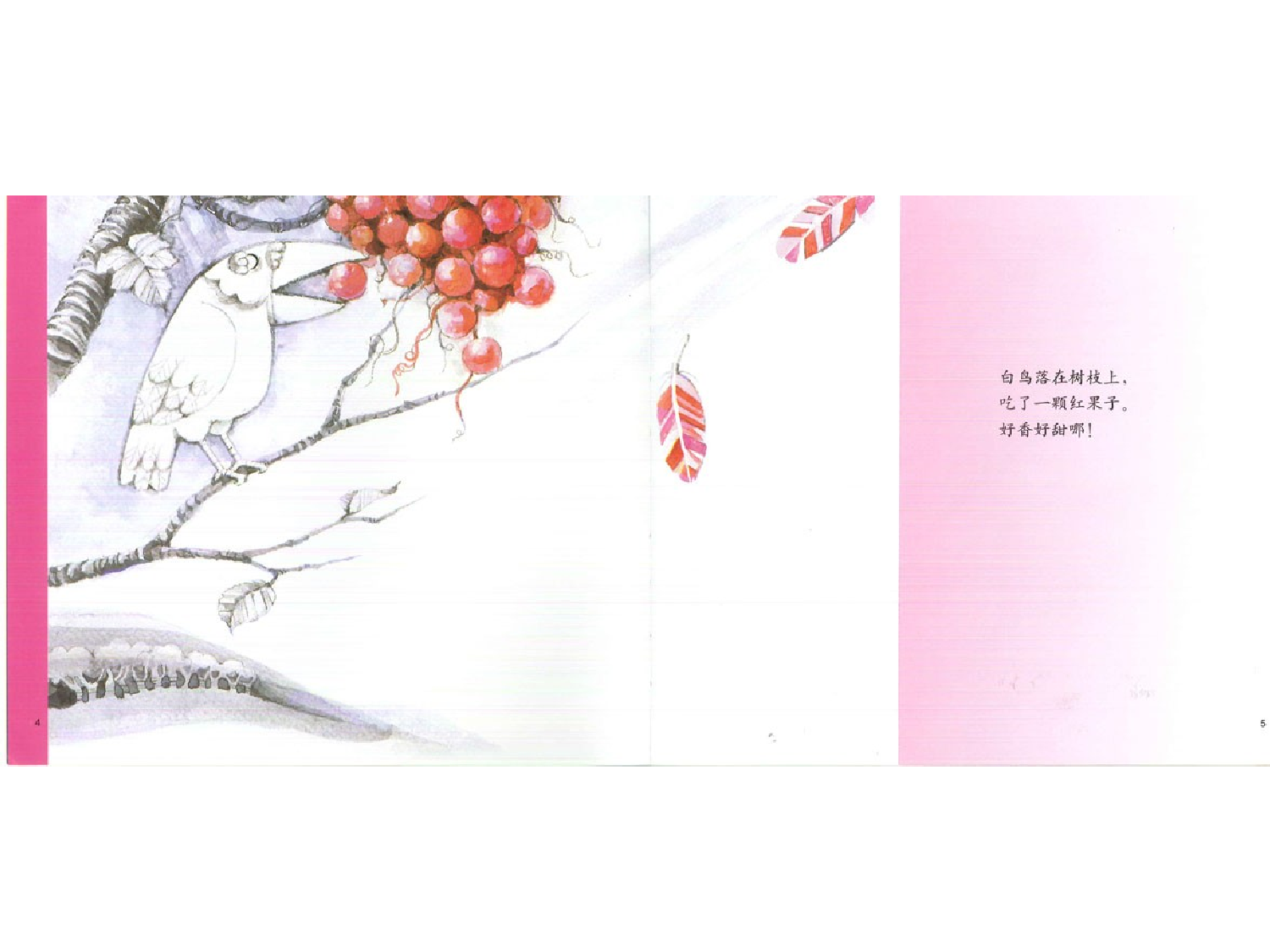 变色鸟.ppt 第4页
