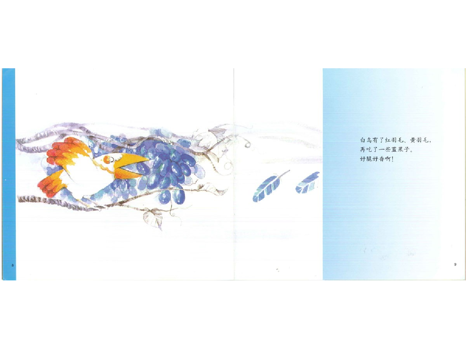 变色鸟.ppt 第6页