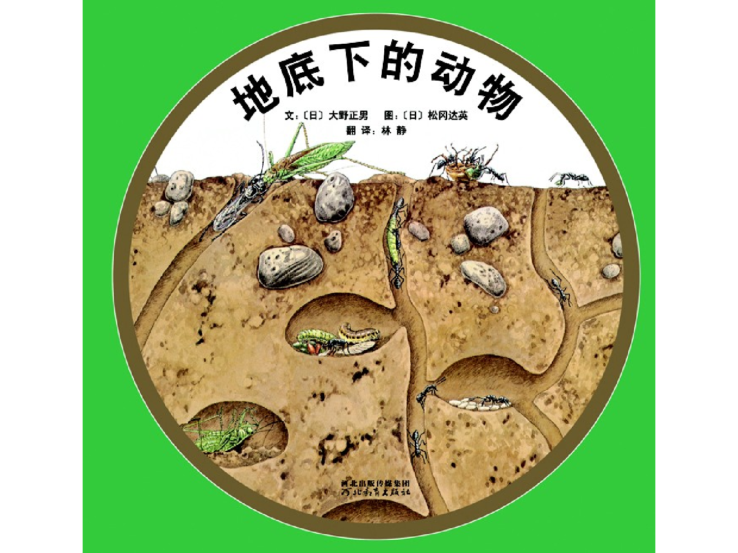 地底下的动物.pptx 第1页