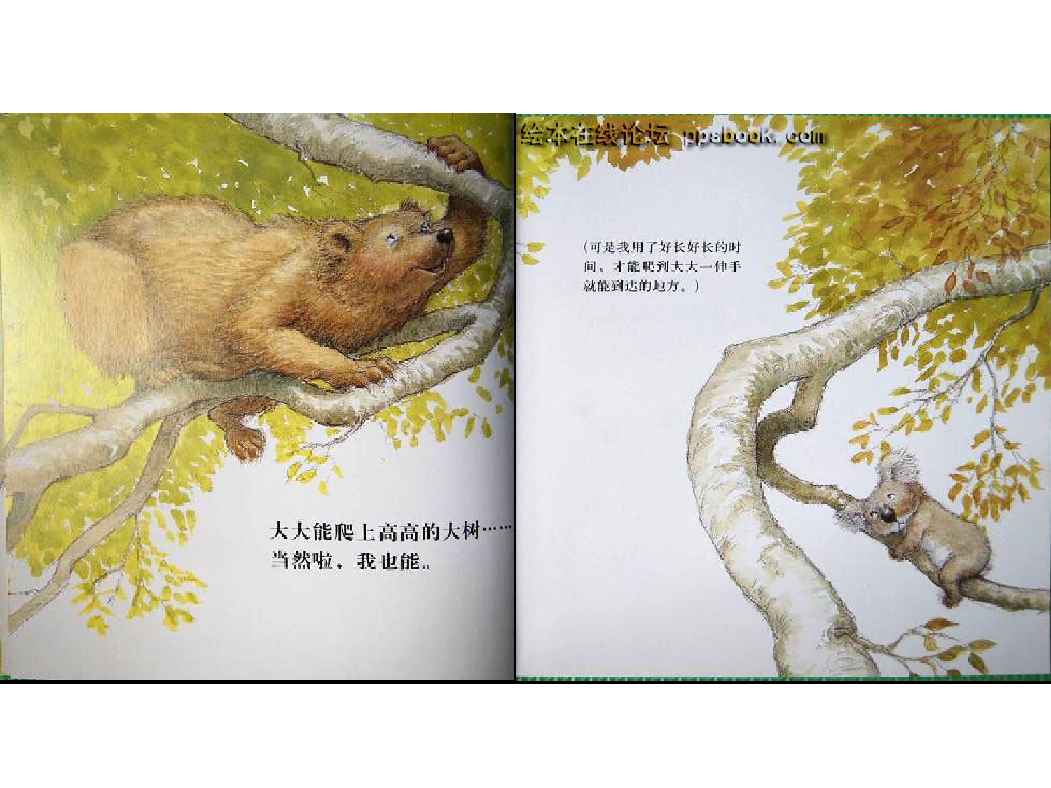 大大行，我也行.ppt 第6页