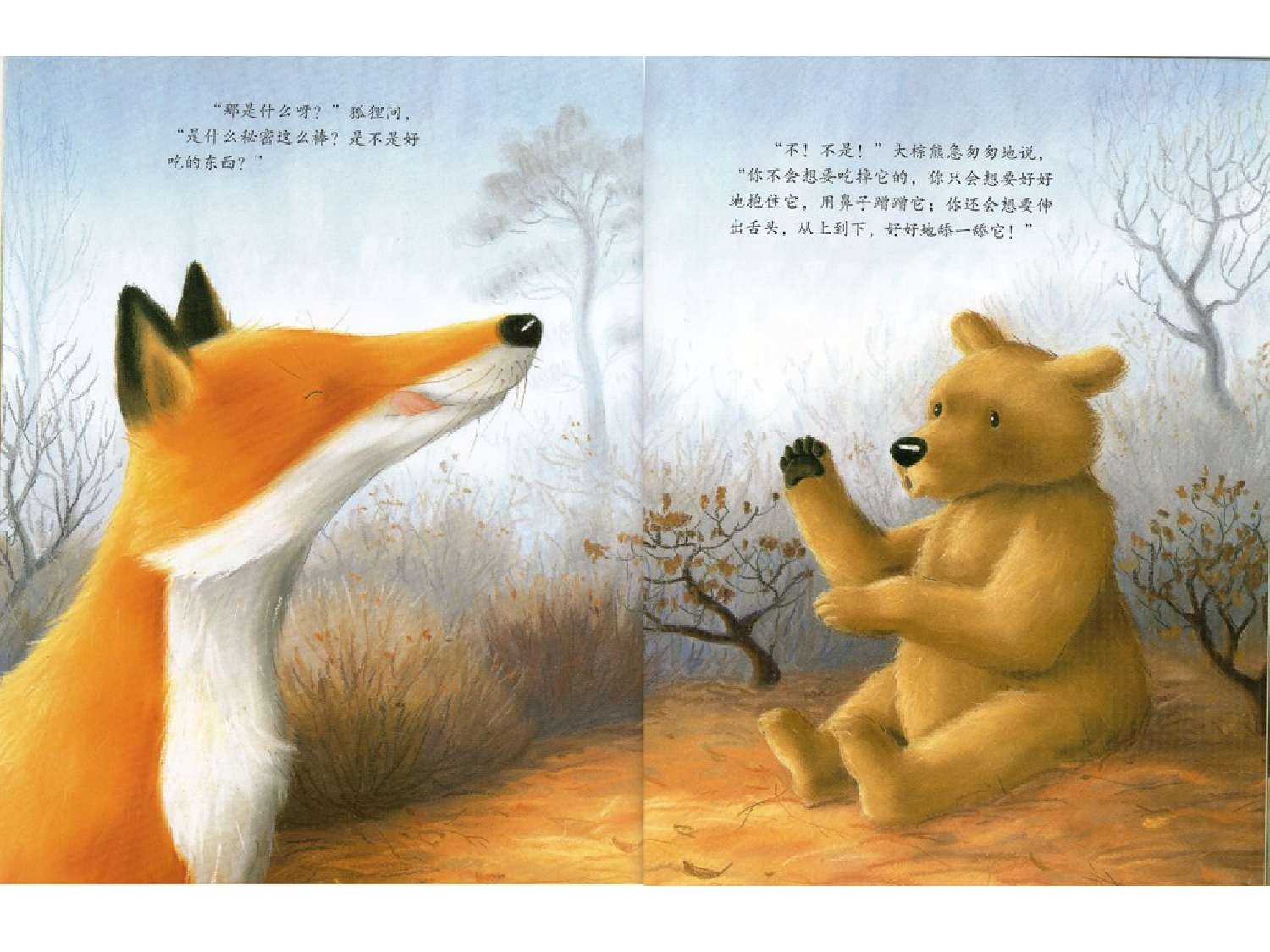 大棕熊的秘密.ppt 第3页