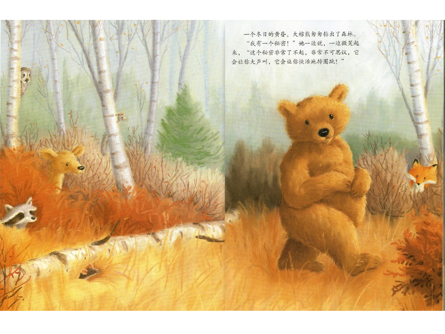 大棕熊的秘密.ppt 第2页
