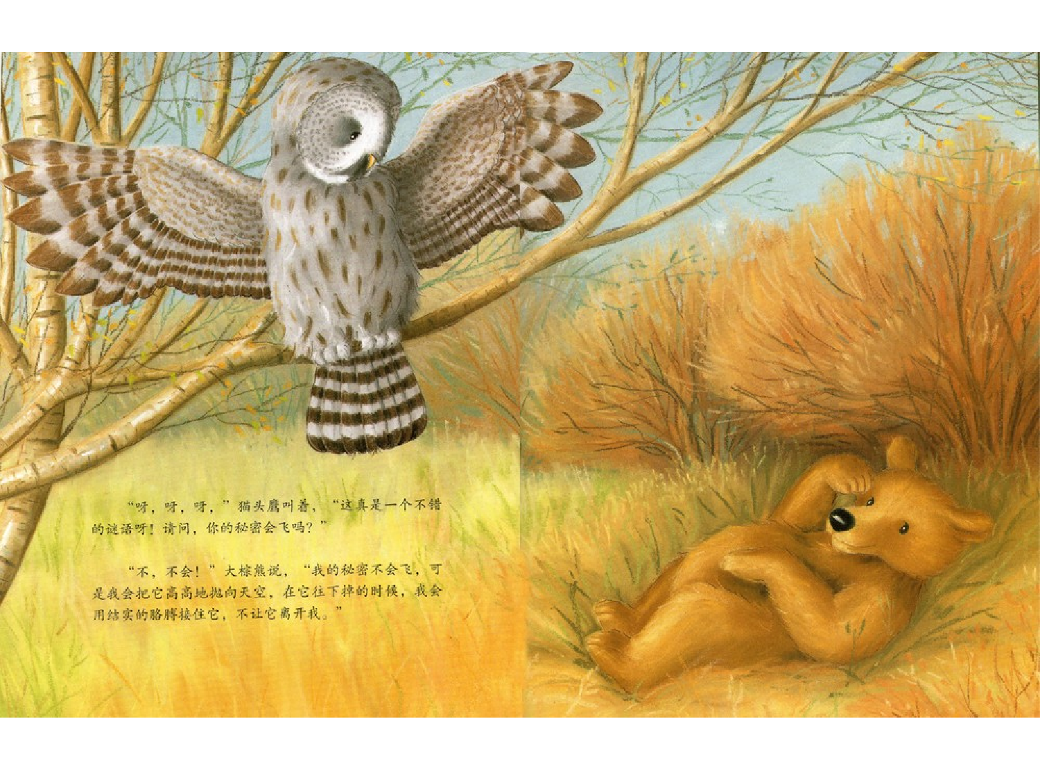 大棕熊的秘密.ppt 第6页