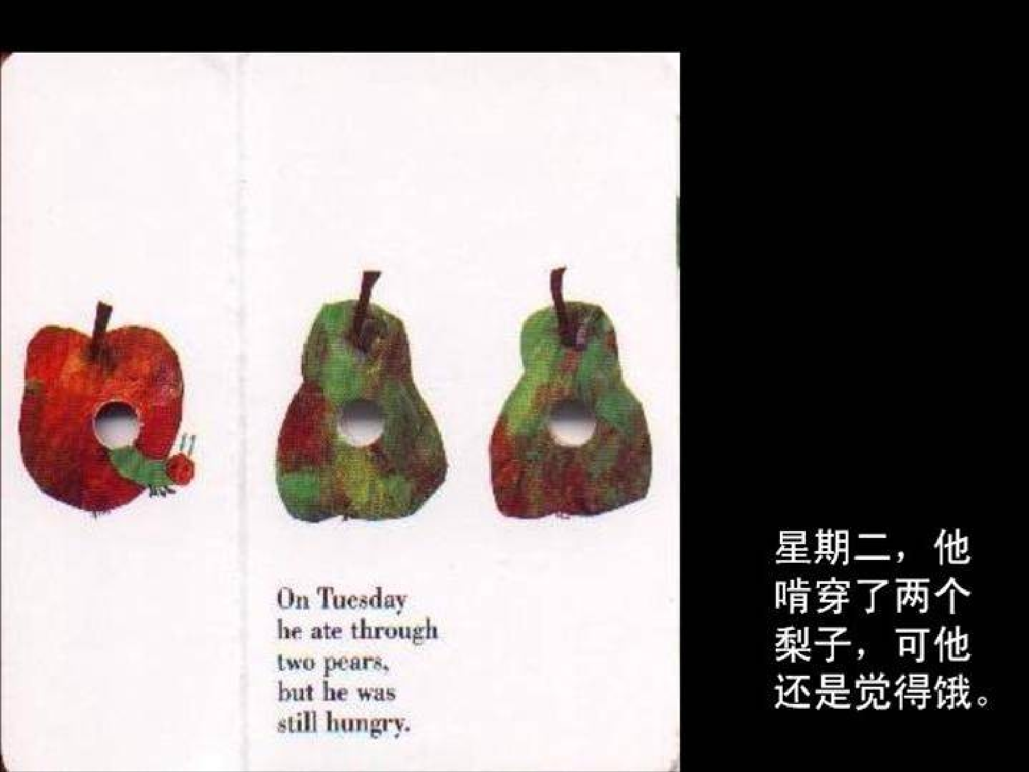 好饿好饿.ppt 第5页