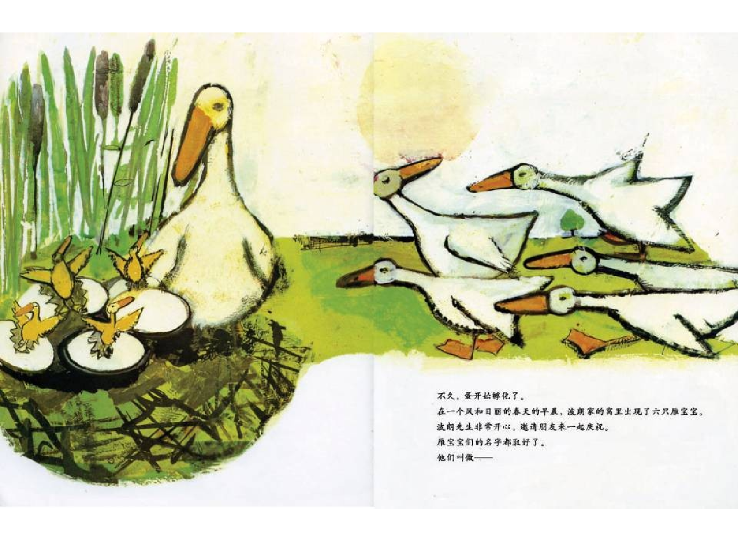 宝儿.ppt 第5页