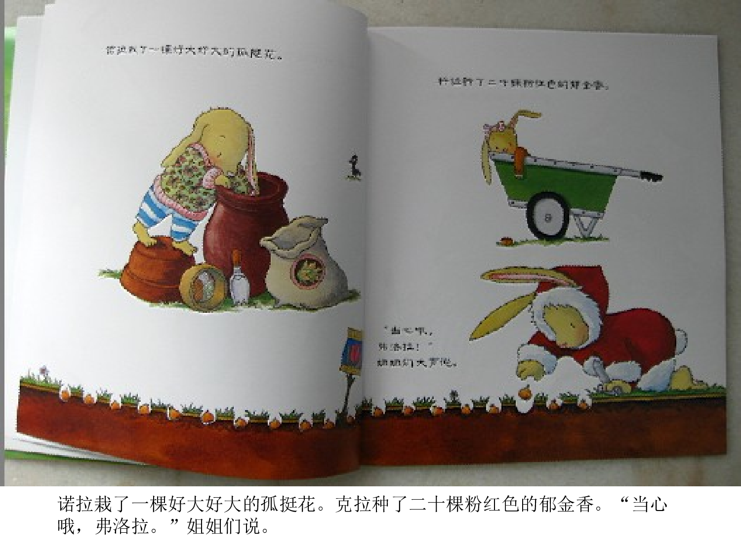 弗洛拉的花.ppt 第5页