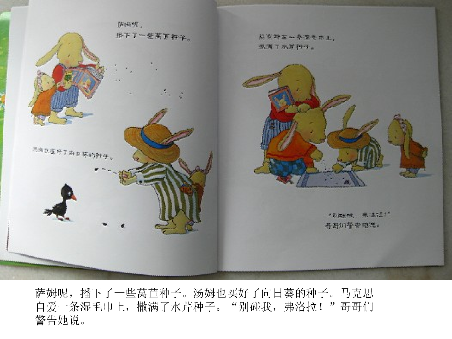 弗洛拉的花.ppt 第6页