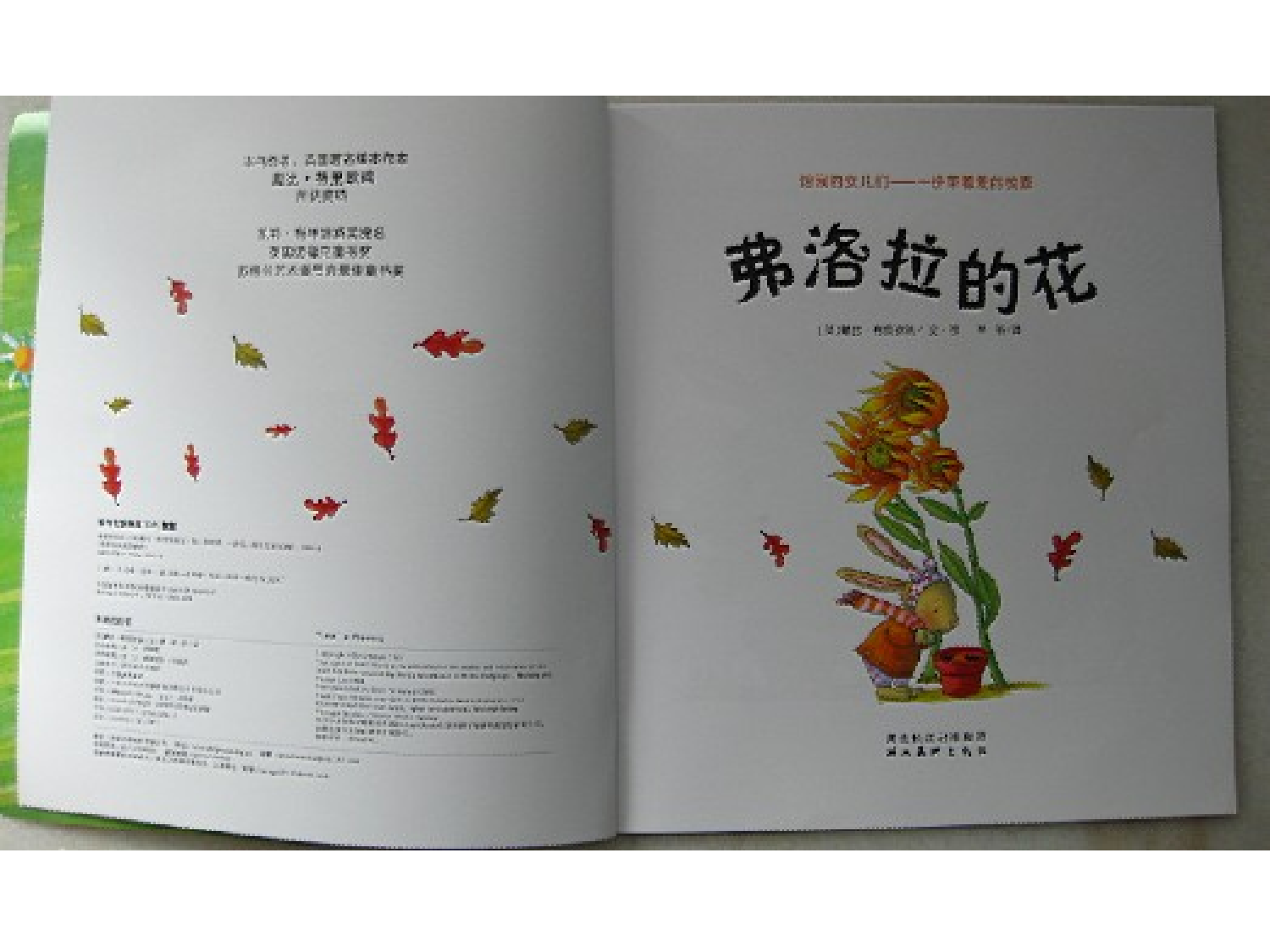 弗洛拉的花.ppt 第3页