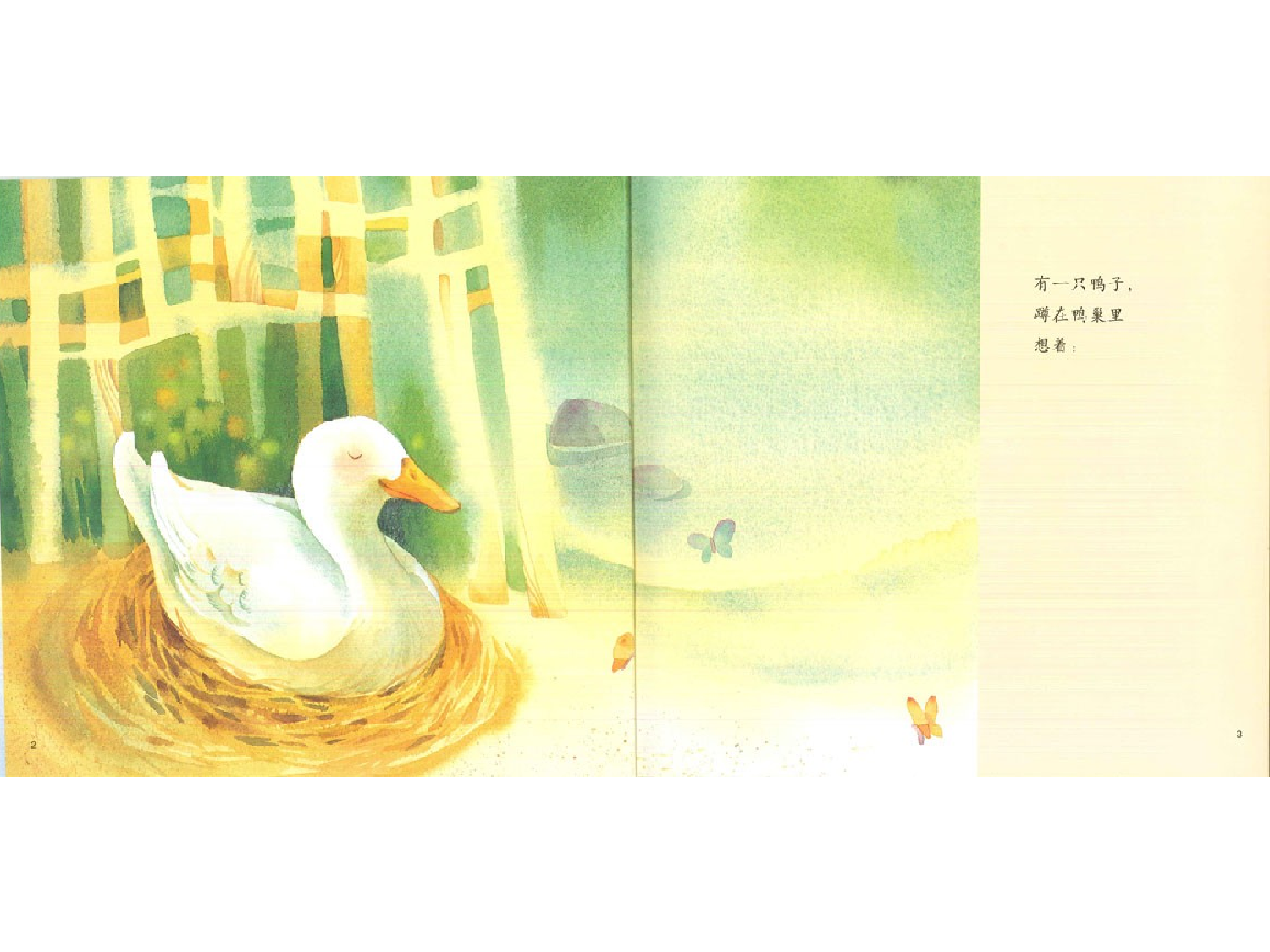 彩色的鸭子.ppt 第3页