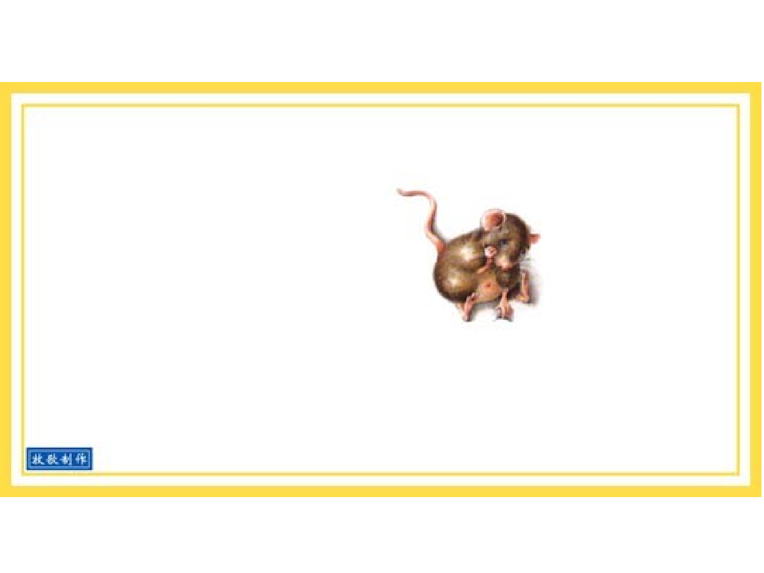 房子.ppt 第3页
