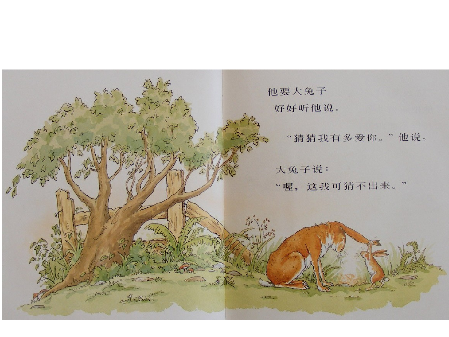 猜猜我有多爱你.ppt 第4页