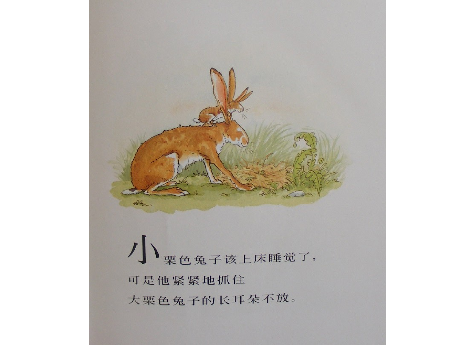 猜猜我有多爱你.ppt 第3页