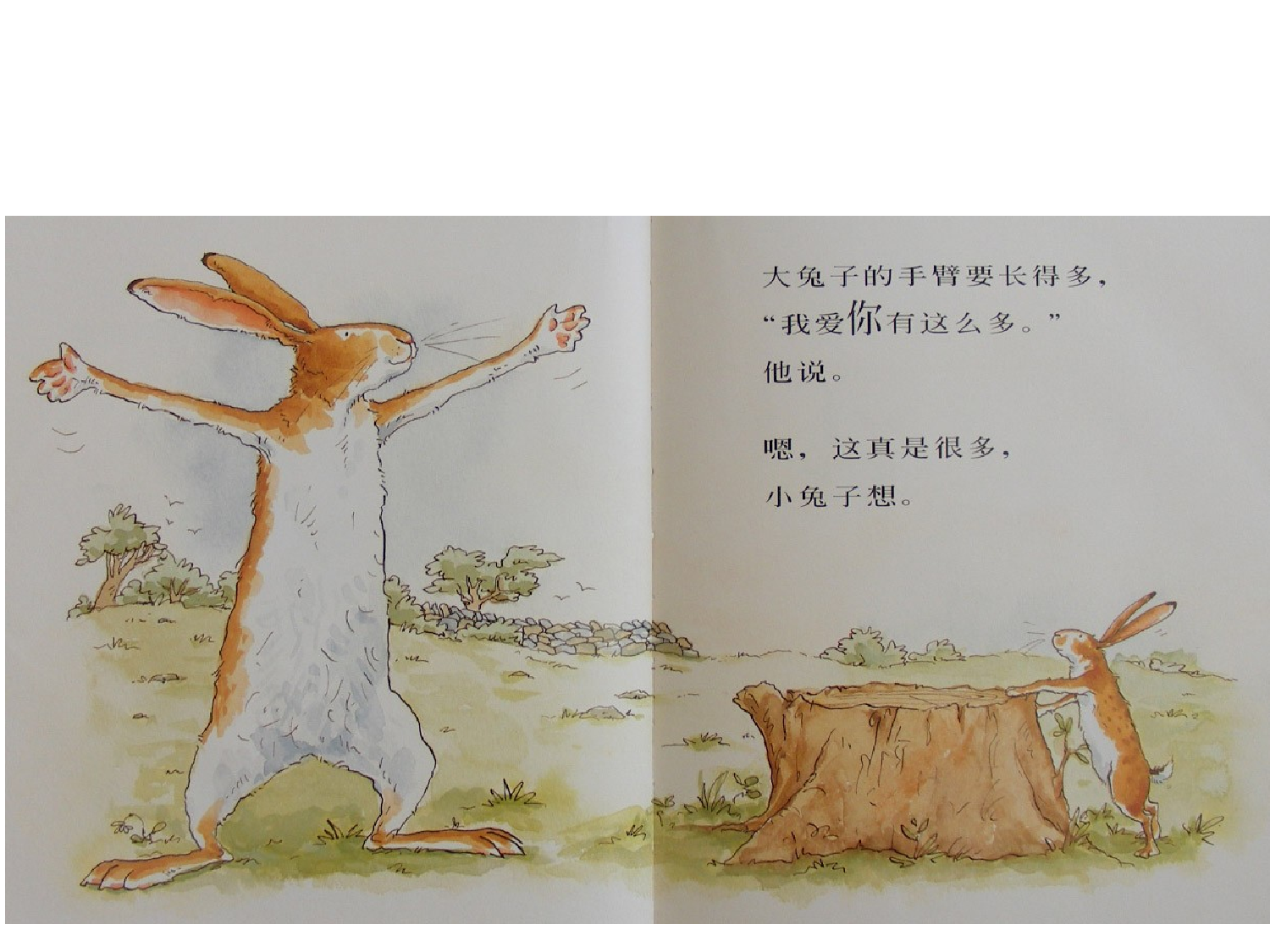 猜猜我有多爱你.ppt 第6页