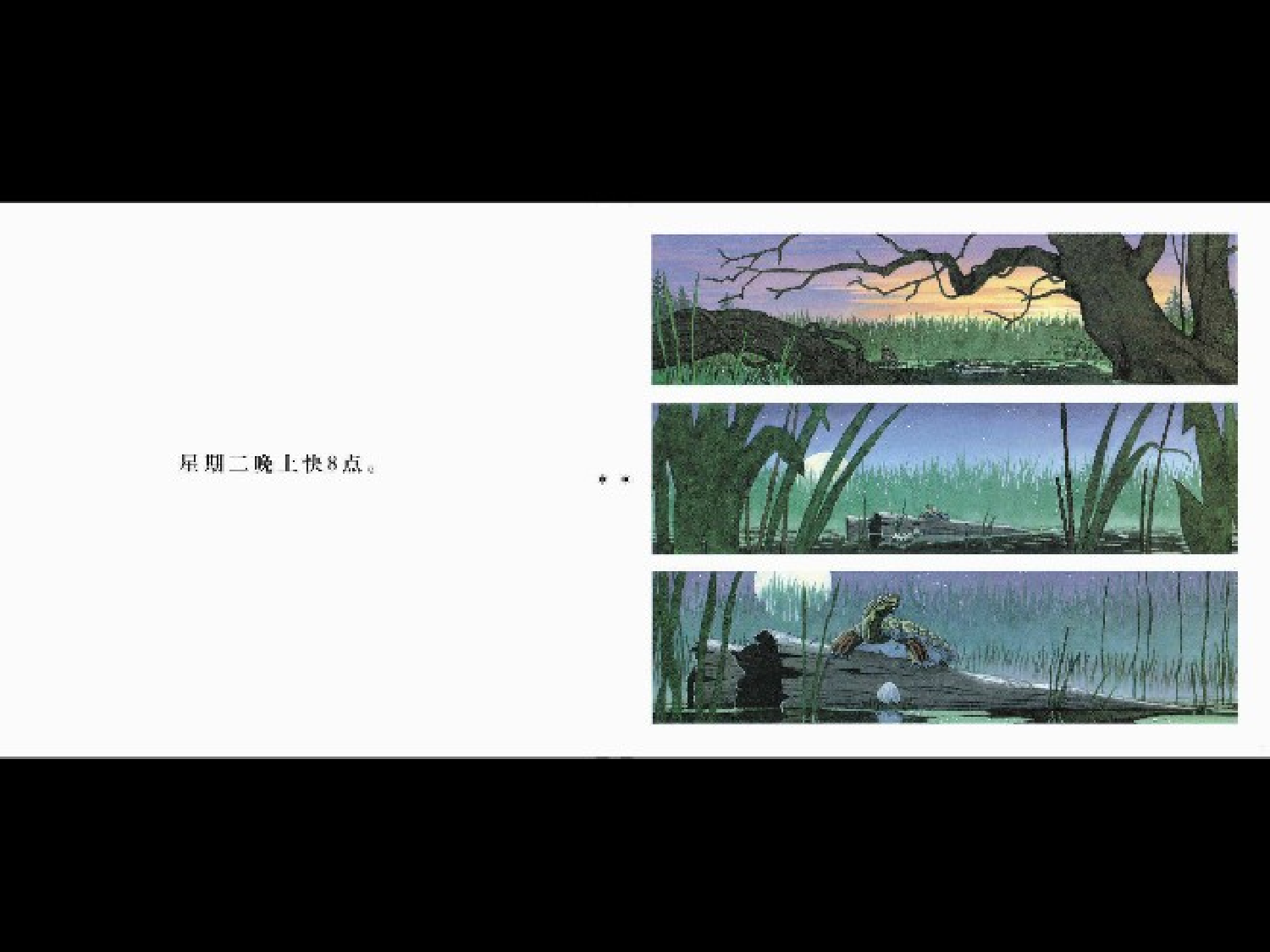 疯狂星期二.ppt 第3页