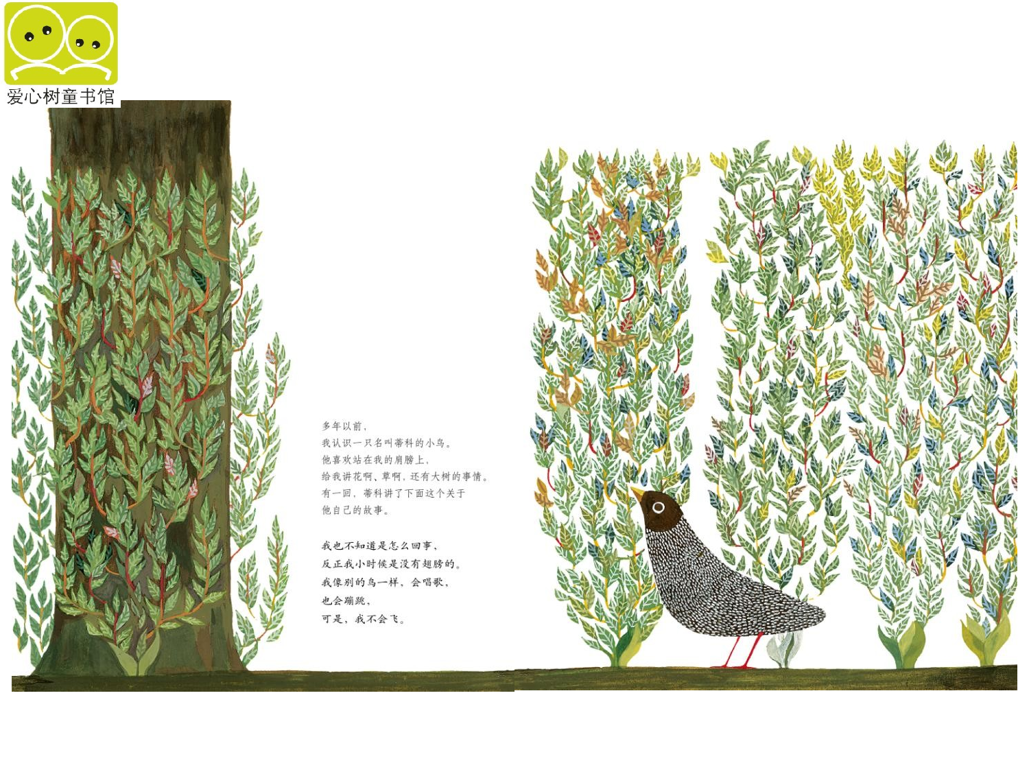 蒂科与金翅膀.ppt 第4页