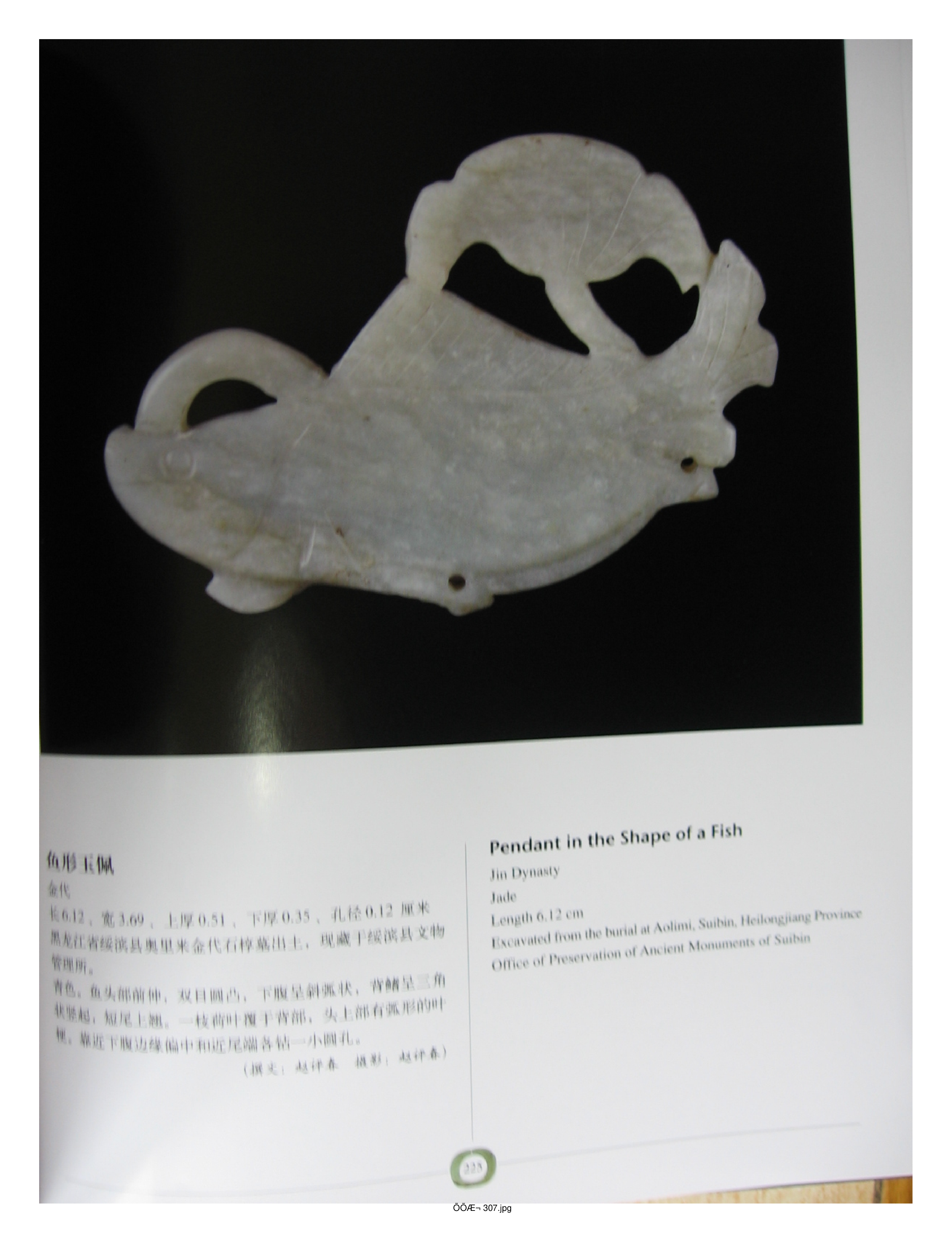 中国出土玉器全集2内蒙古辽宁吉林黑龙江部分4.pdf 第5页