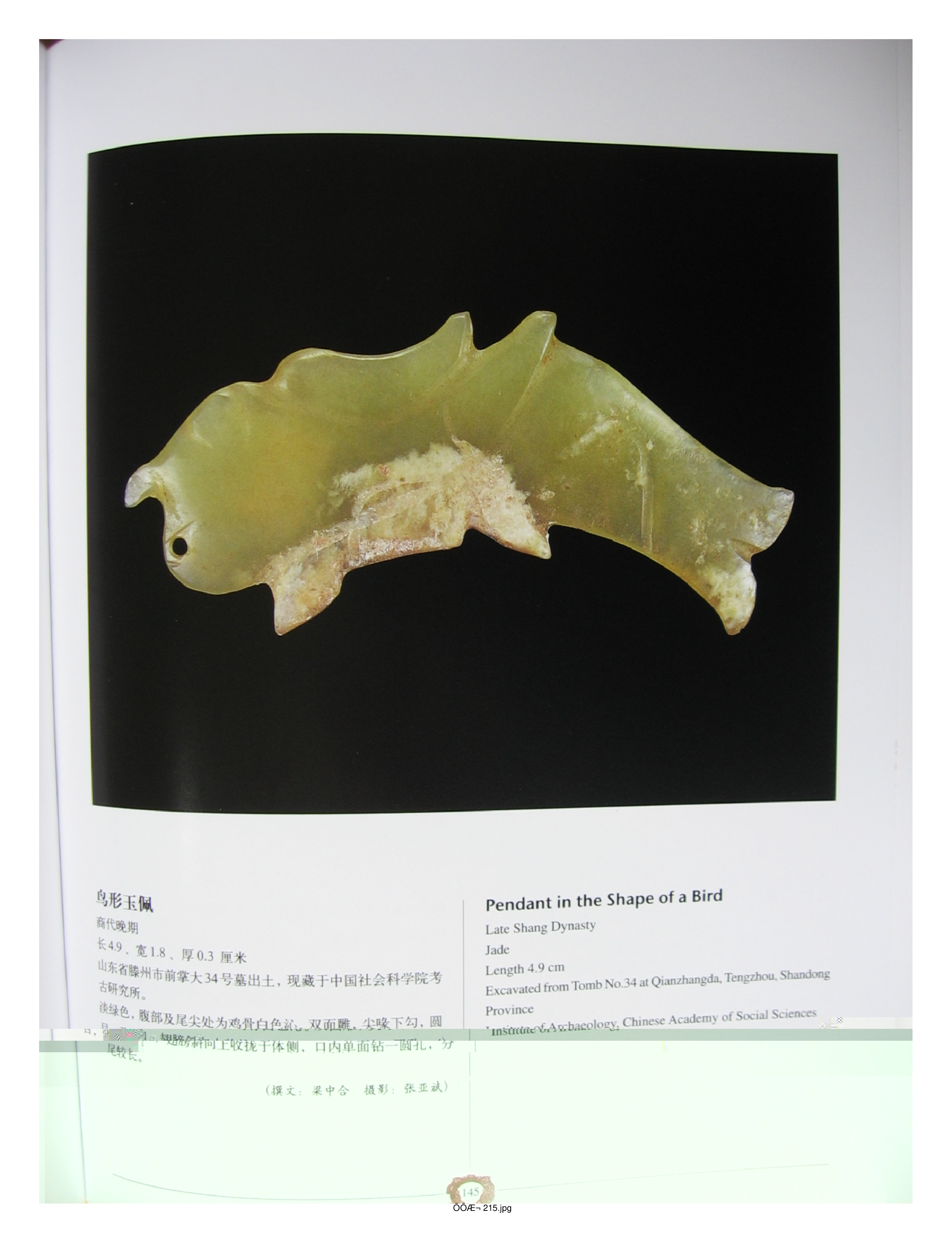 中国出土玉器全集4山东部分3.pdf 第5页