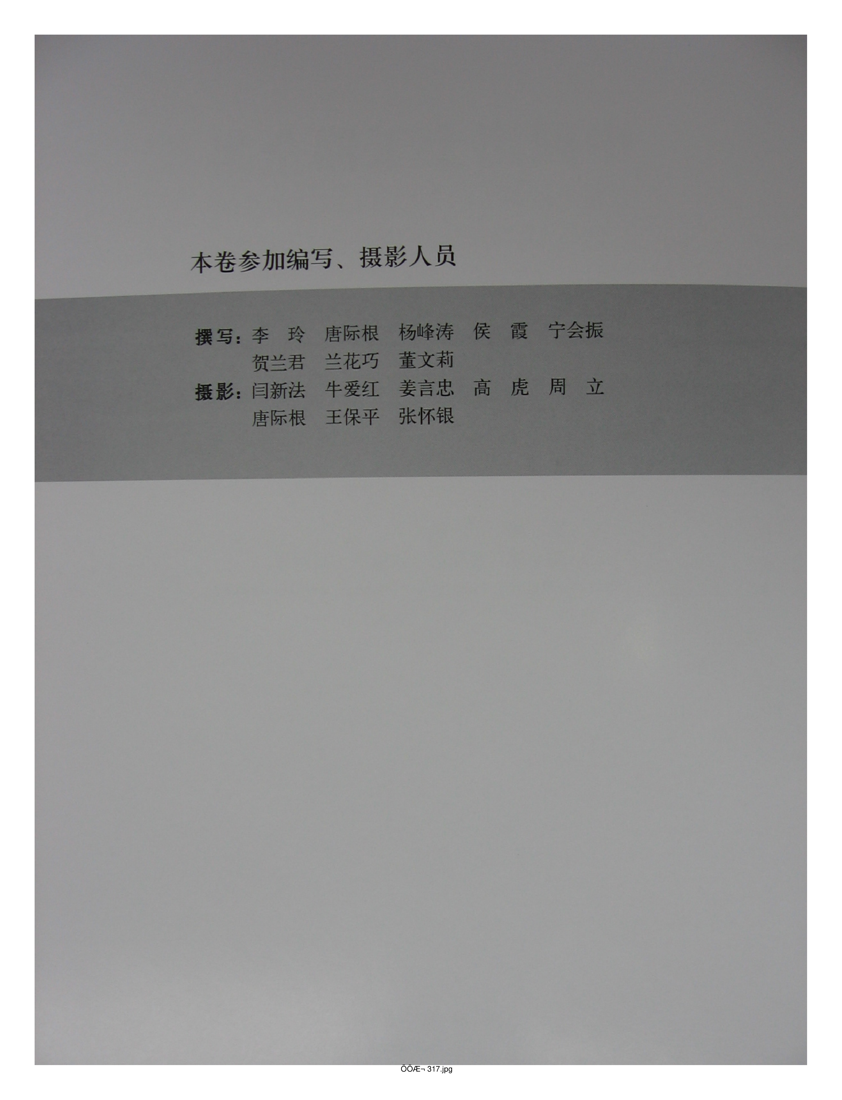 中国出土玉器全集5河南部分1.pdf 第6页