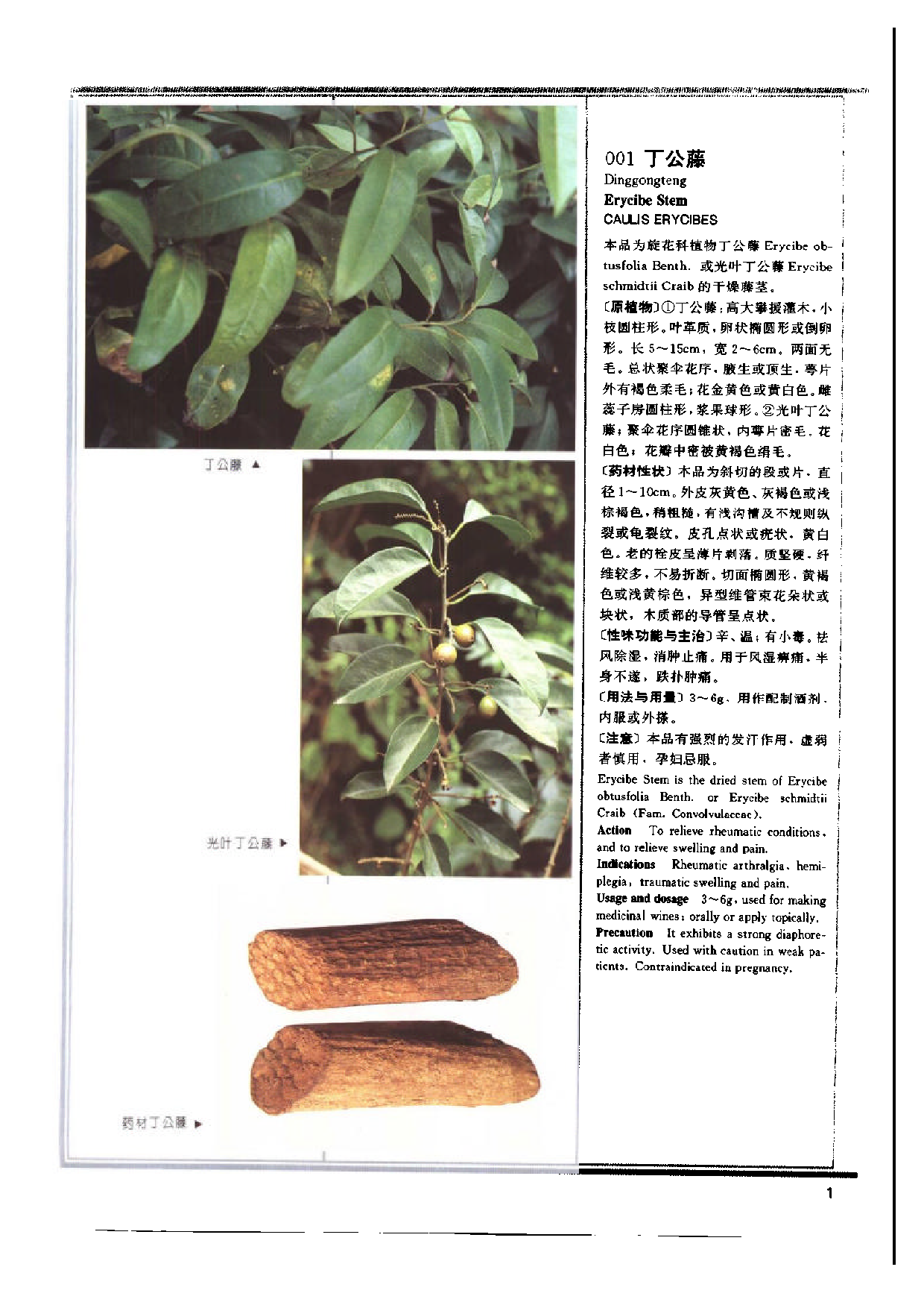 1995年中药典彩色图谱.pdf 第6页