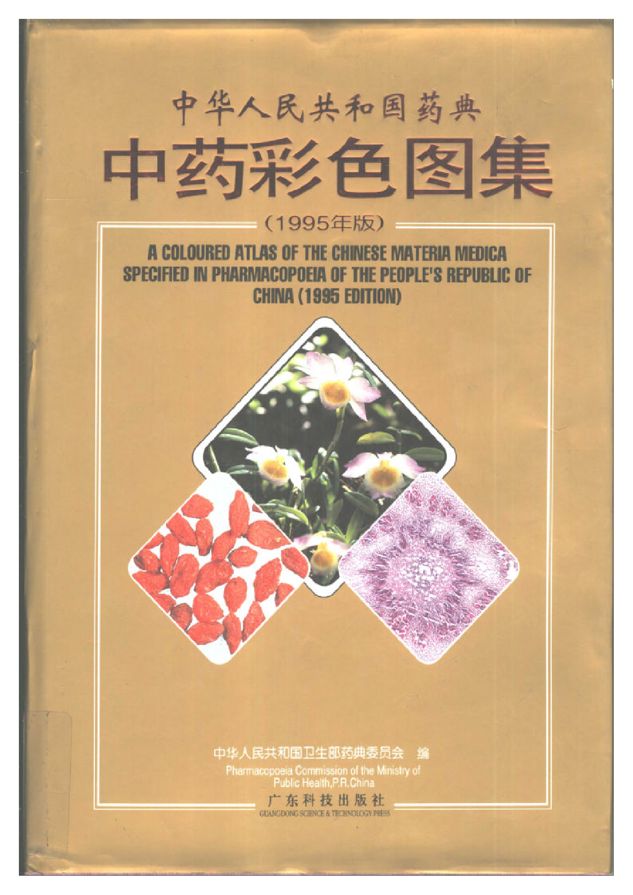 1995年中药典彩色图谱.pdf 第1页