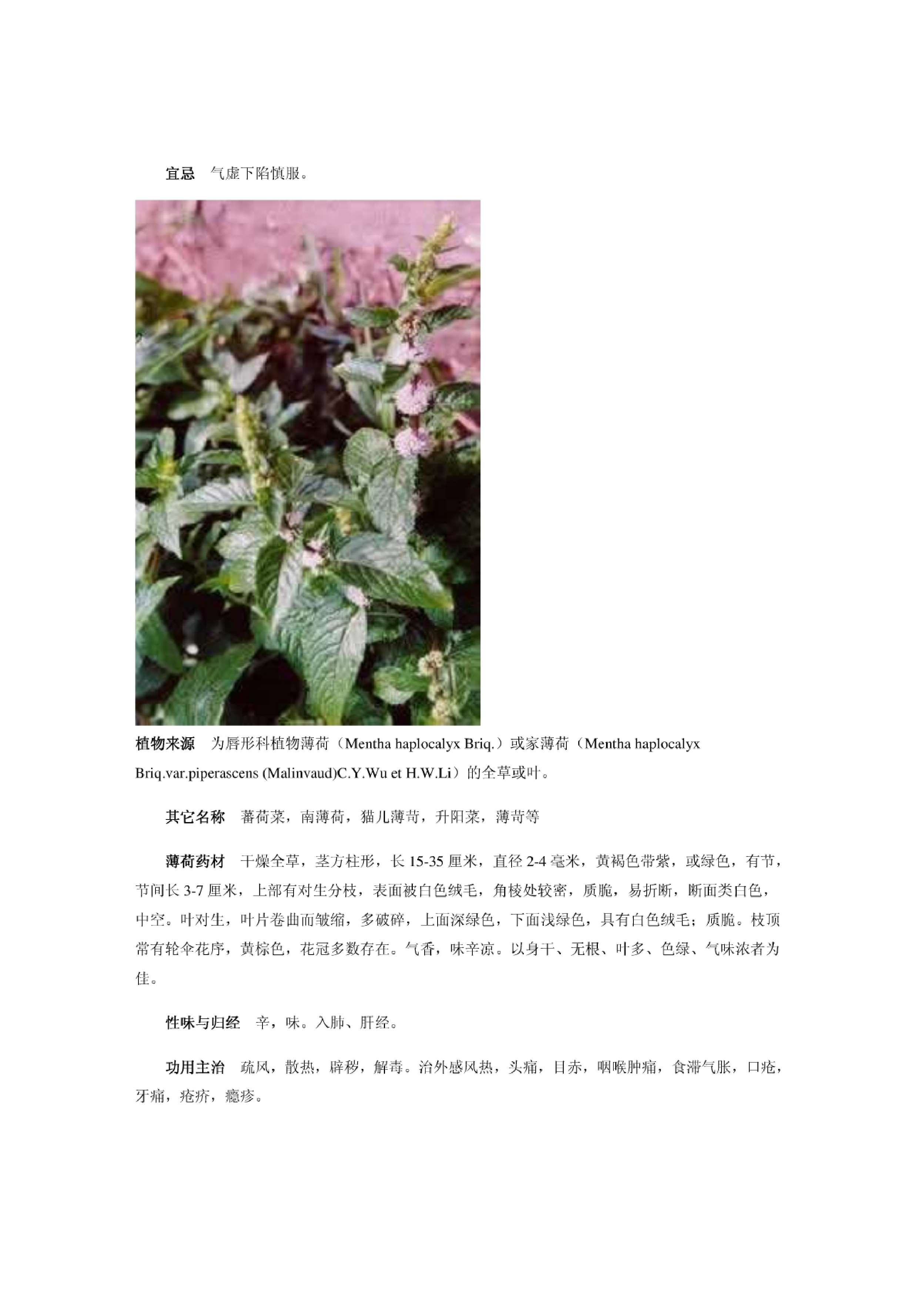 2-中草药图谱大全.pdf 第6页