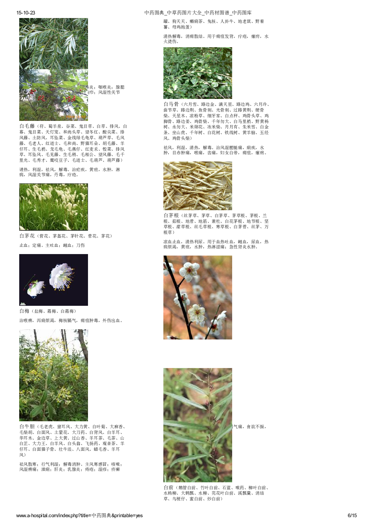 3-中草药图片大全.pdf 第6页