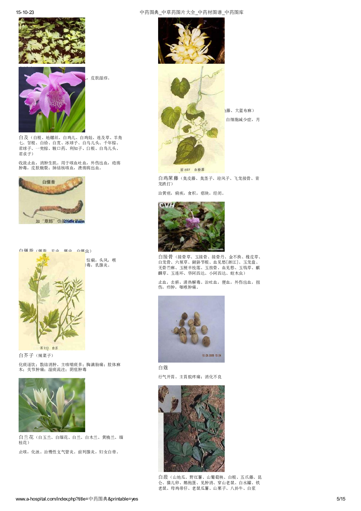 3-中草药图片大全.pdf 第5页