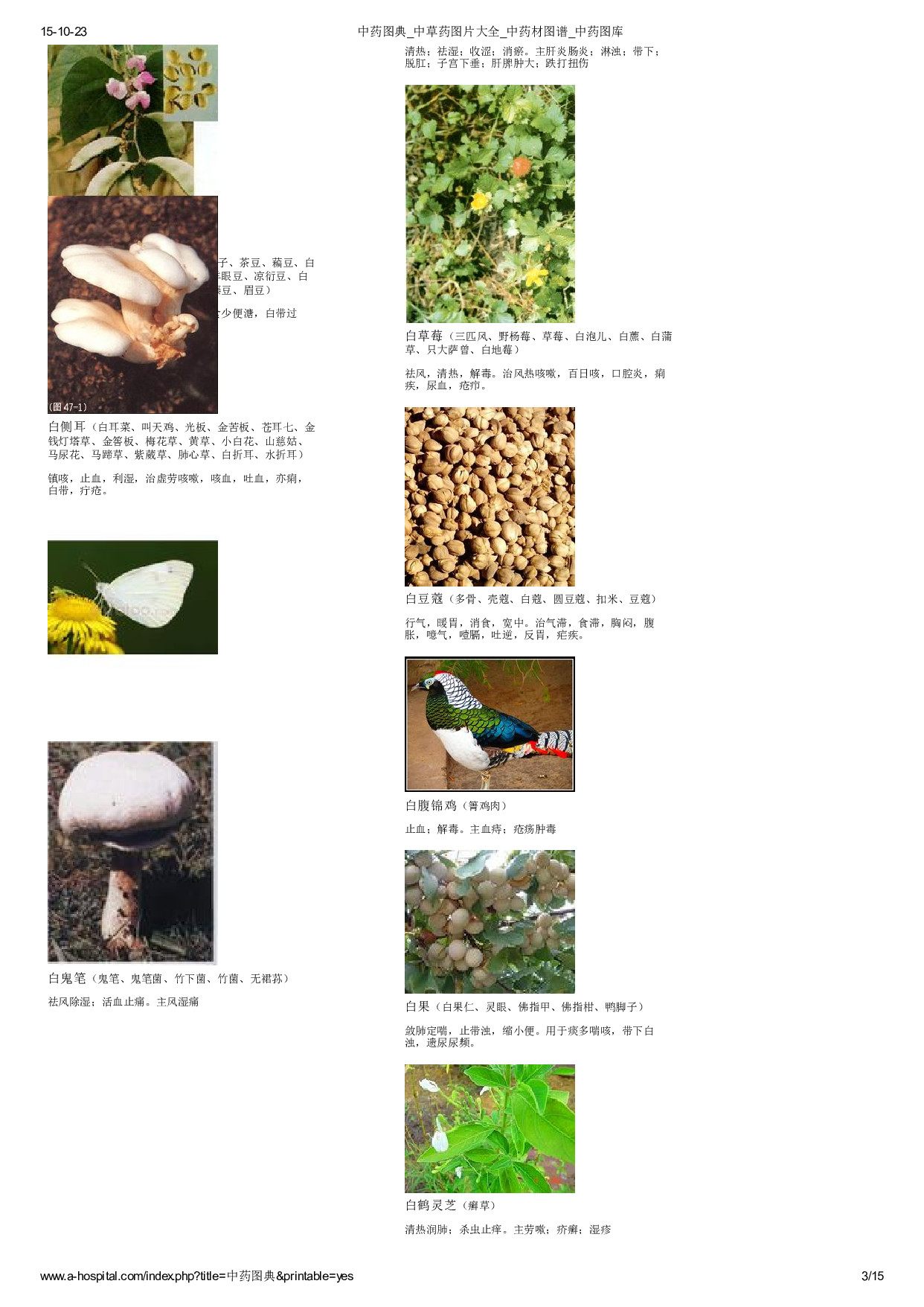 3-中草药图片大全.pdf 第3页