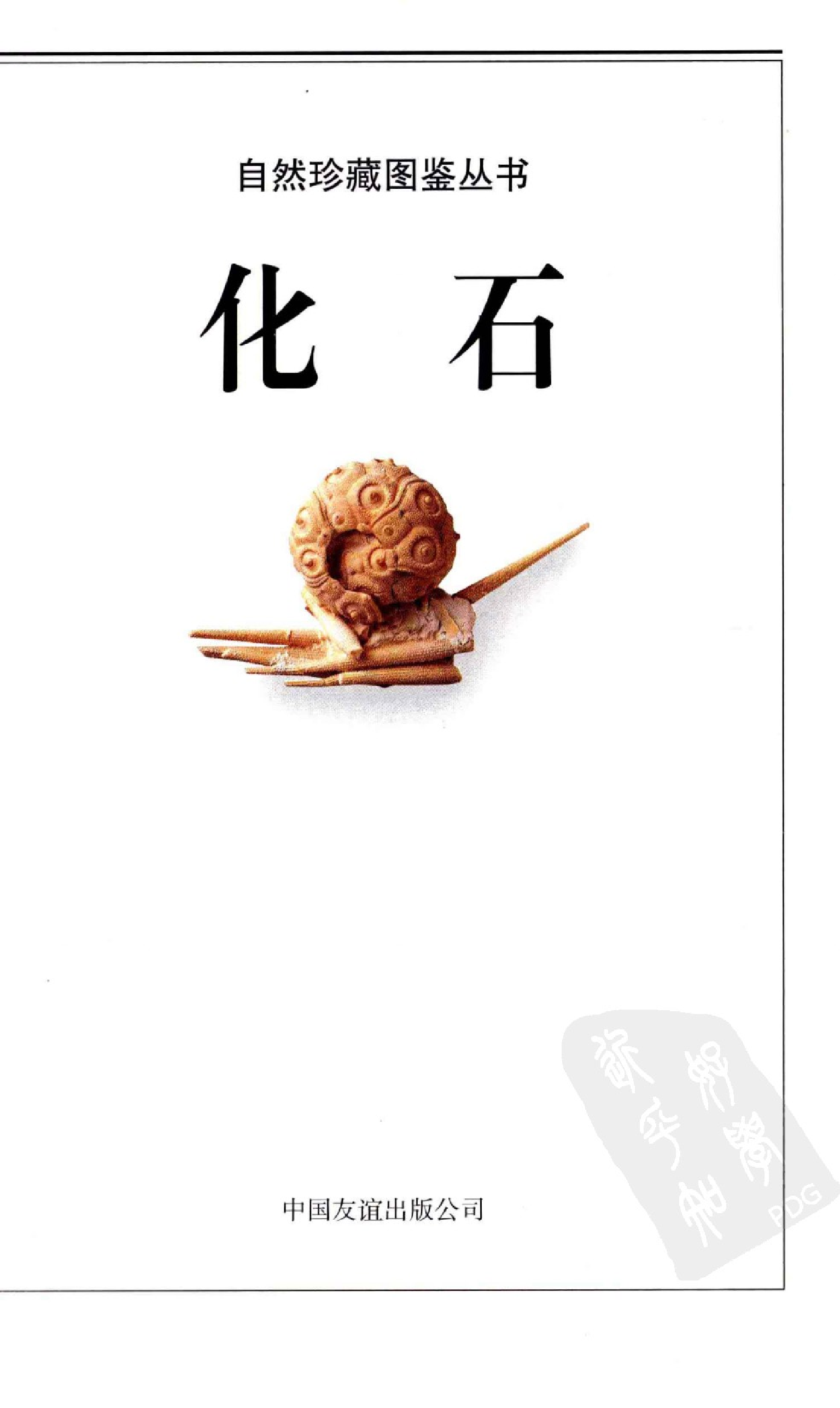 [化石：全世界500多种化石的彩色图鉴].谷视纲.全彩版.pdf 第3页