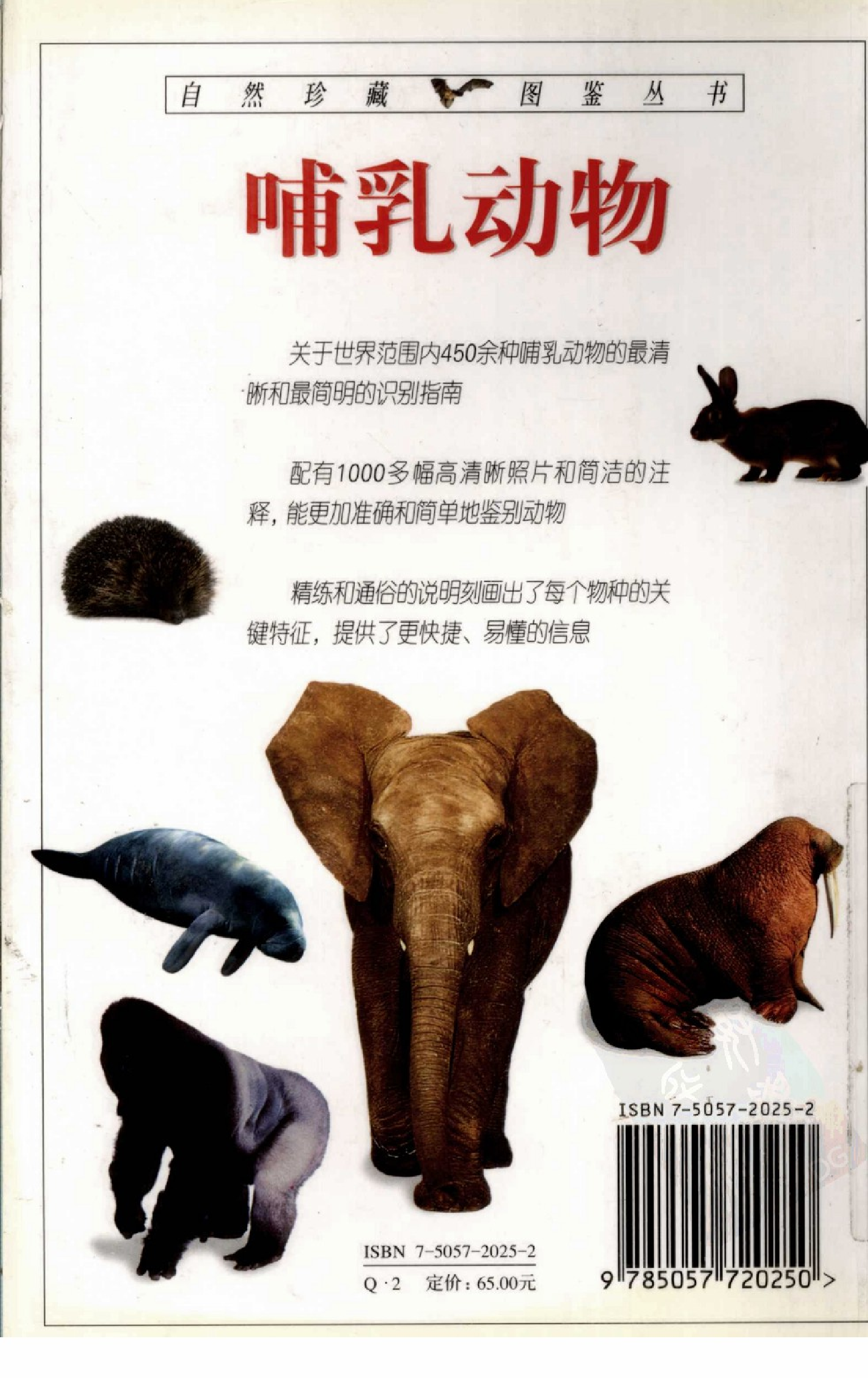 [哺乳动物图鉴].pdf 第2页