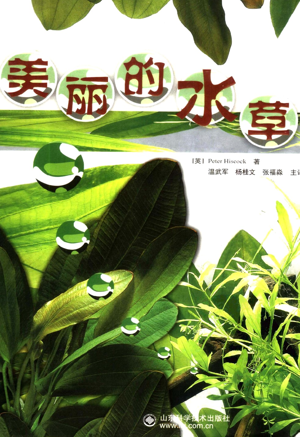 [园艺]《美丽的水草》.pdf 第1页