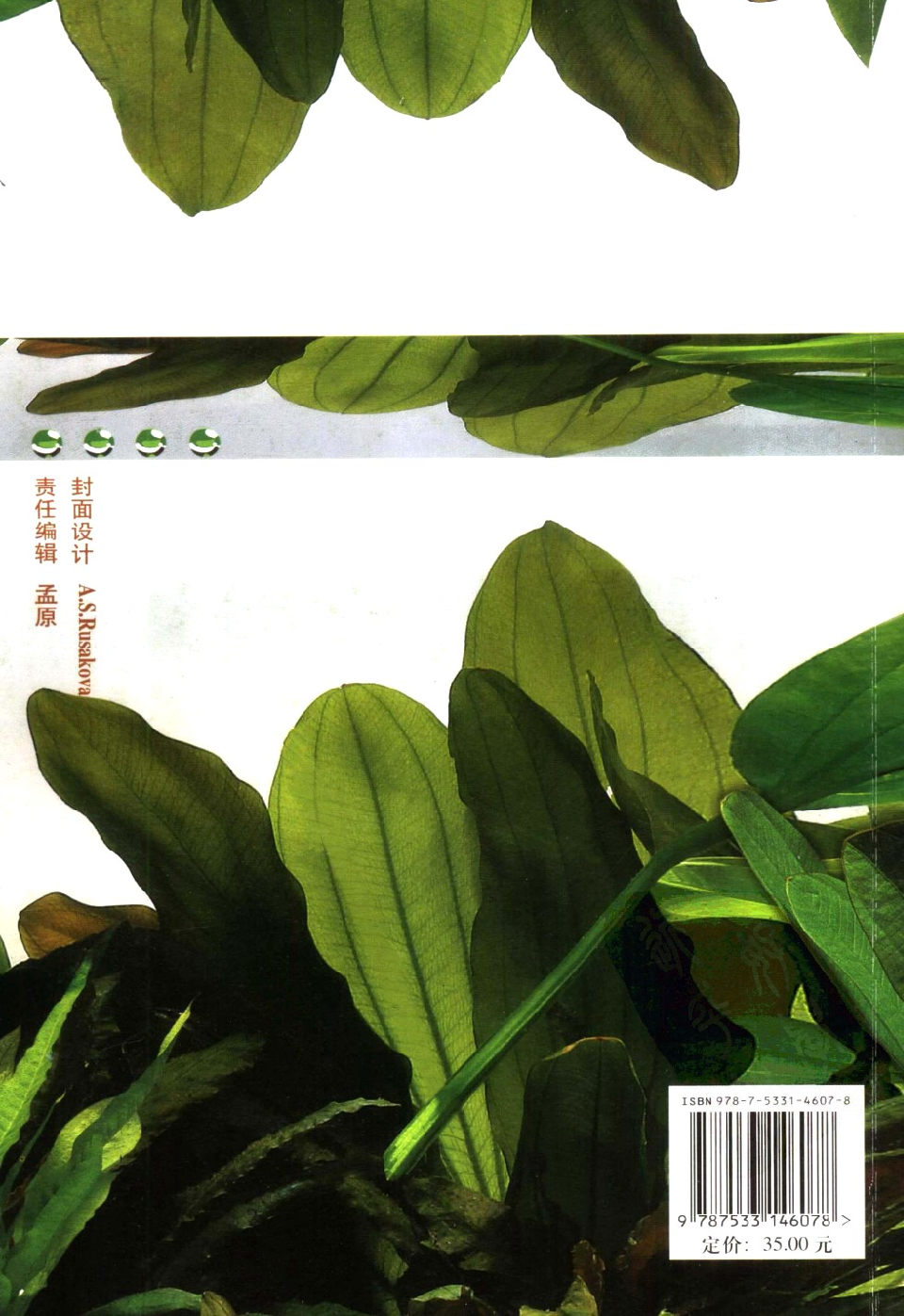 [园艺]《美丽的水草》.pdf 第2页