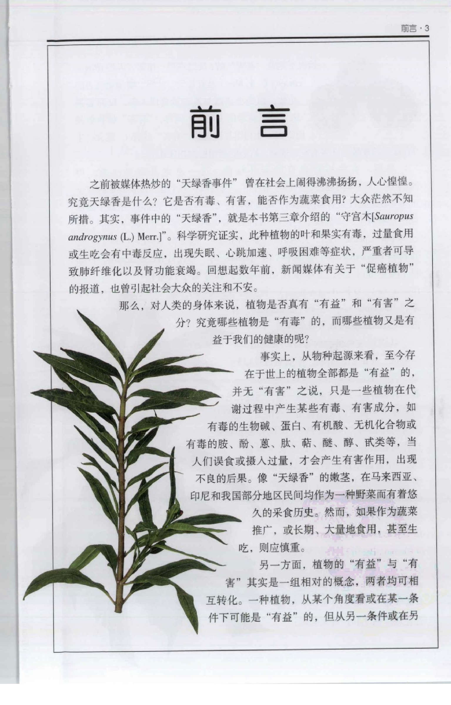 [有害植物图鉴].pdf 第6页