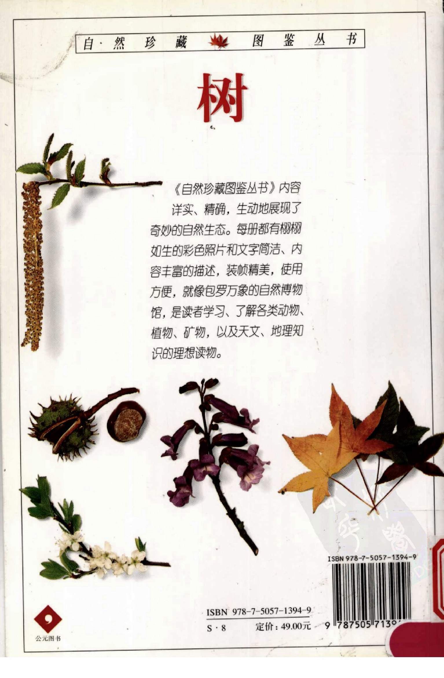 [树木图鉴].pdf 第3页