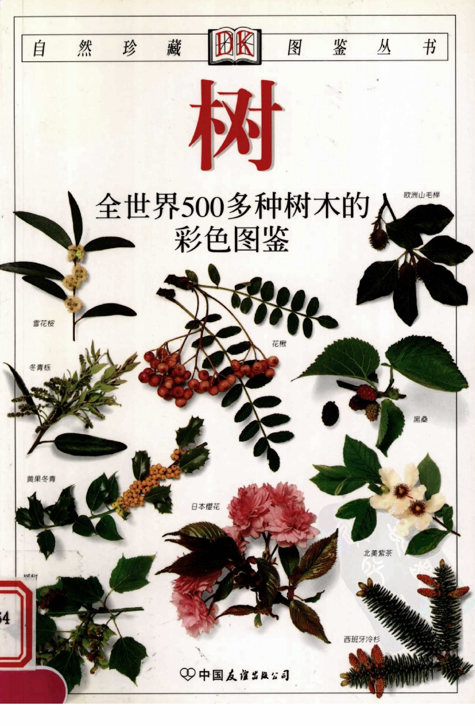 [树木图鉴].pdf 第1页