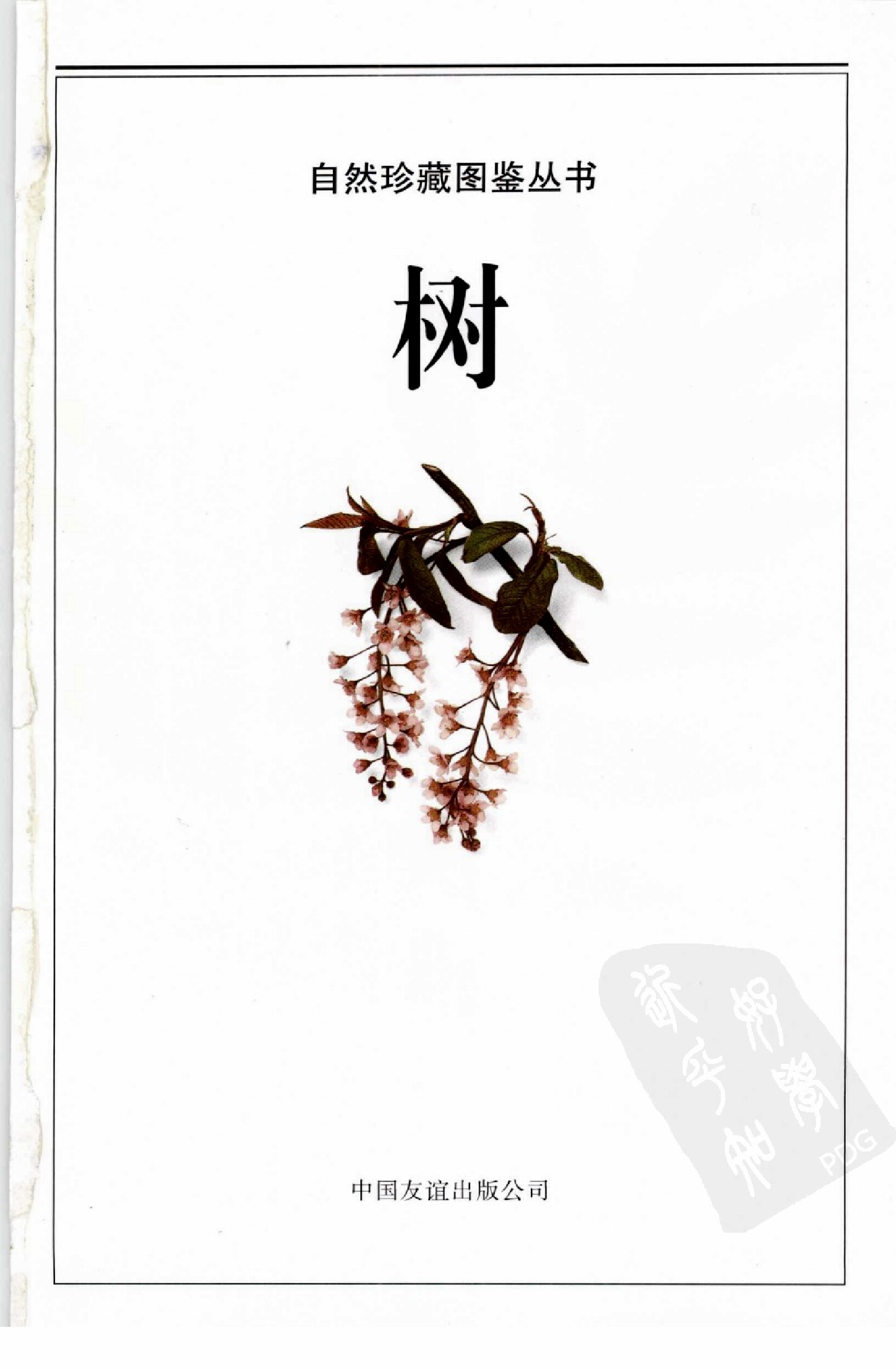 [树木图鉴].pdf 第4页