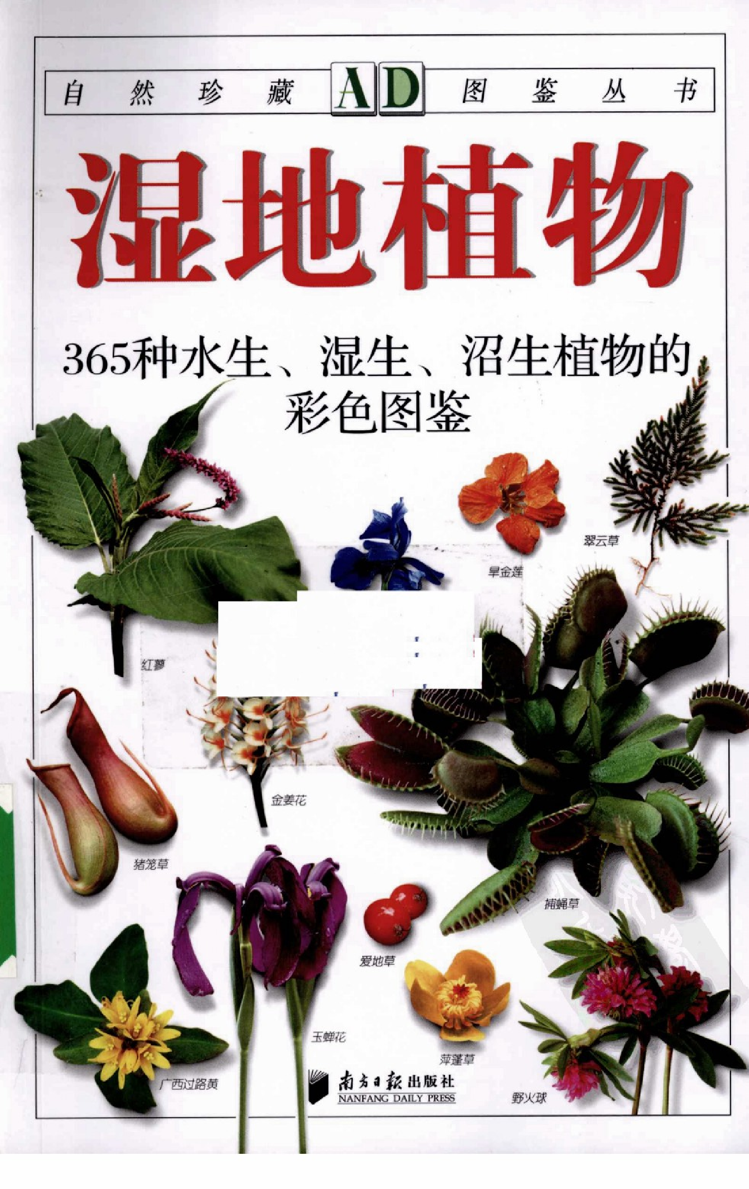 [湿地植物：365种水生、湿生、沼生植物的彩色图鉴].李强.全彩版.pdf 第1页