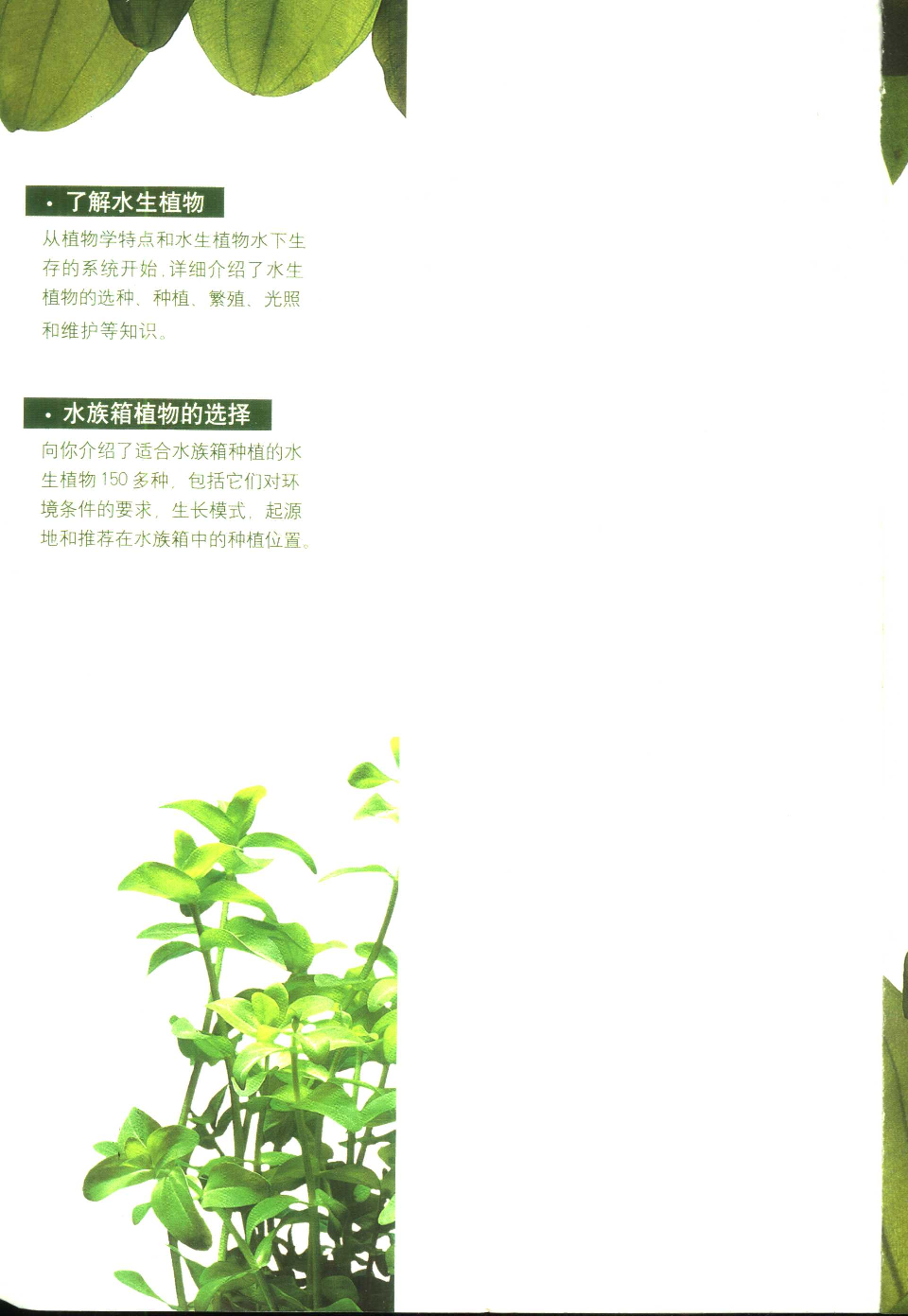 [美丽的水草].pdf 第4页