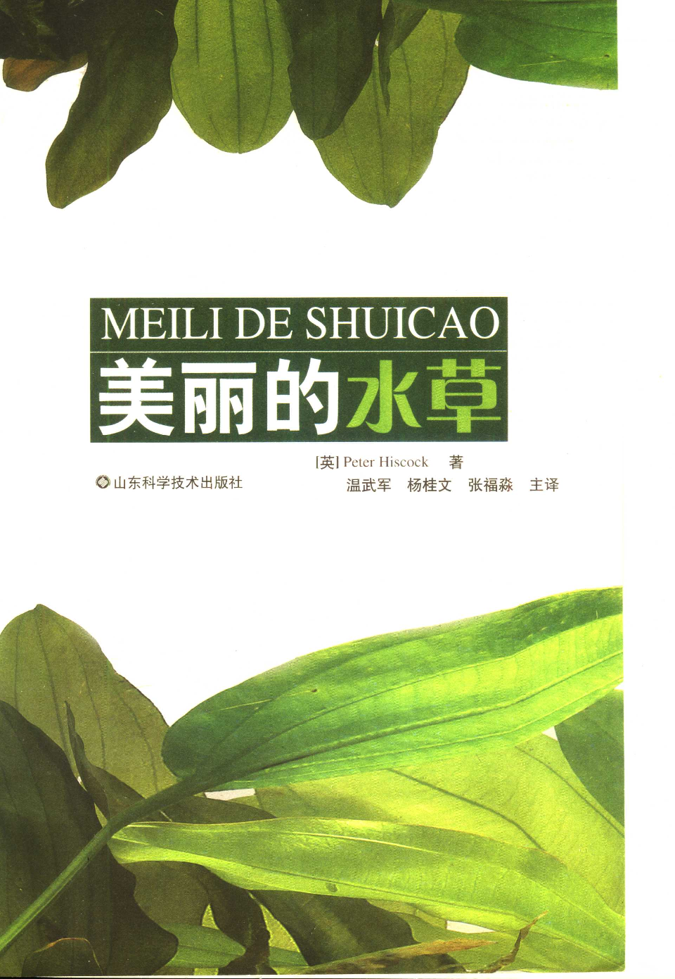 [美丽的水草].pdf 第5页