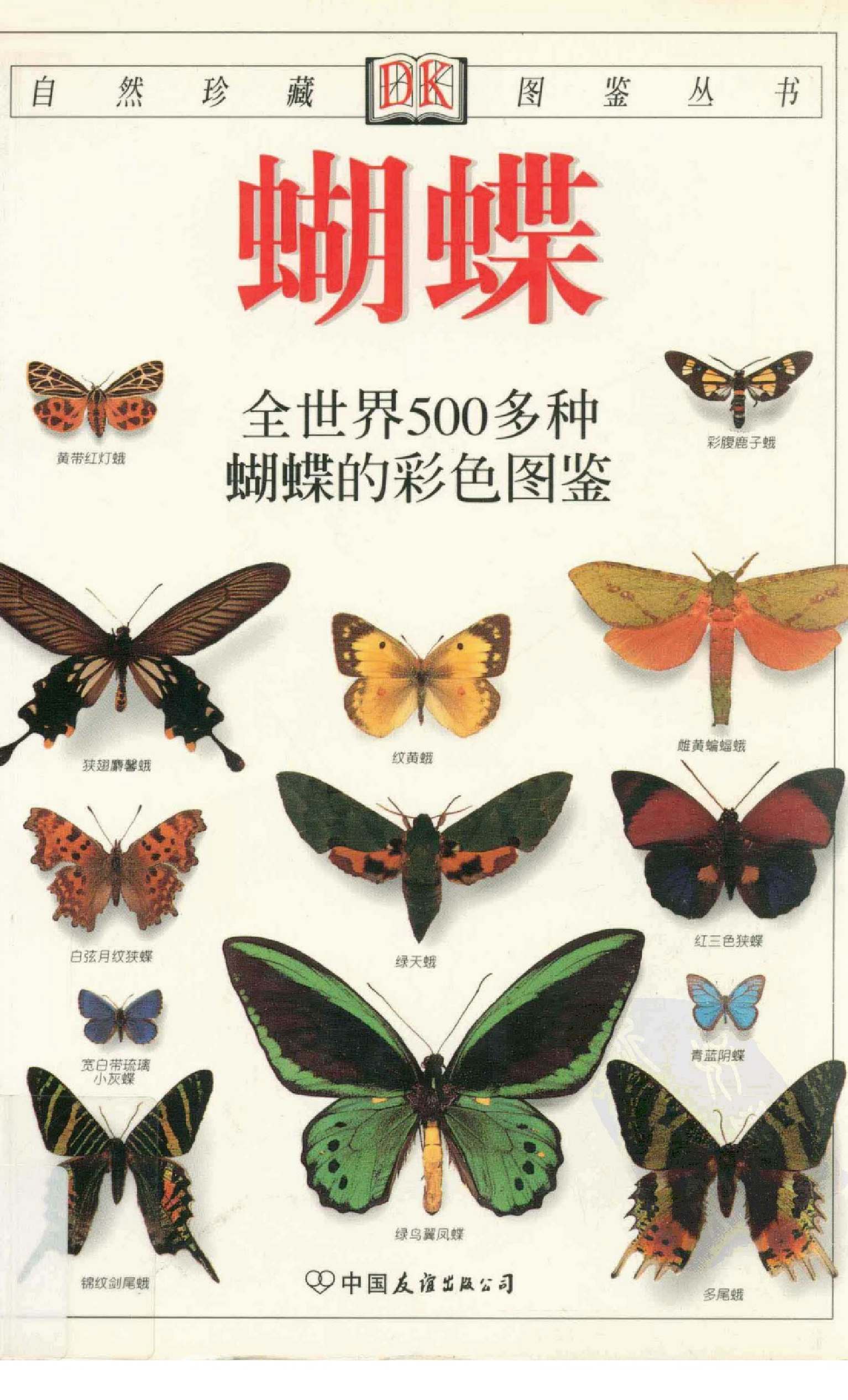 [蝴蝶：全世界500多种蝴蝶的彩色图鉴].大卫卡特.全彩版.pdf 第1页