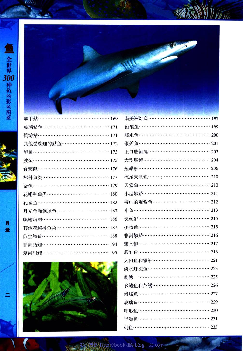 [鱼类图鉴].pdf 第5页