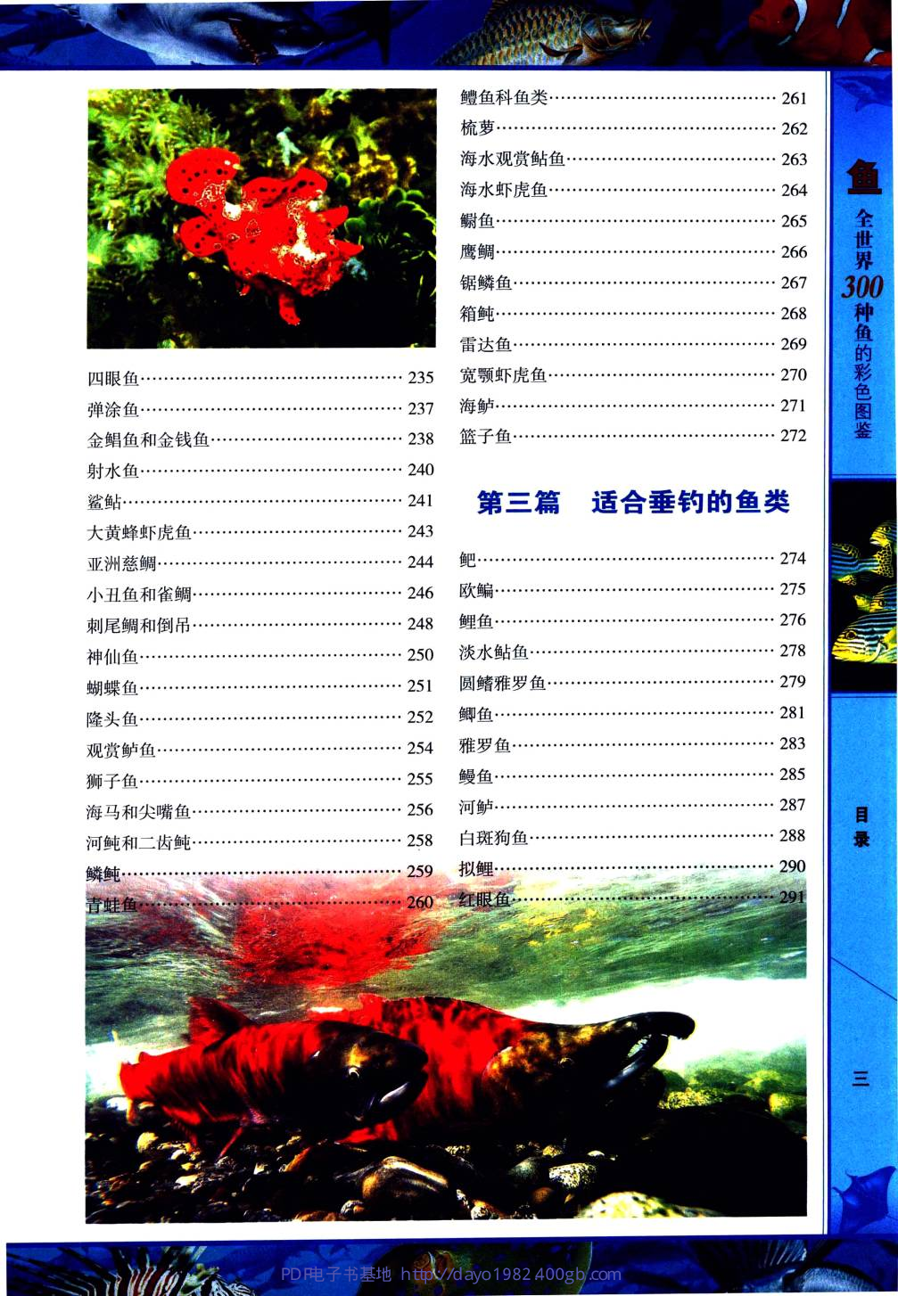 [鱼类图鉴].pdf 第6页