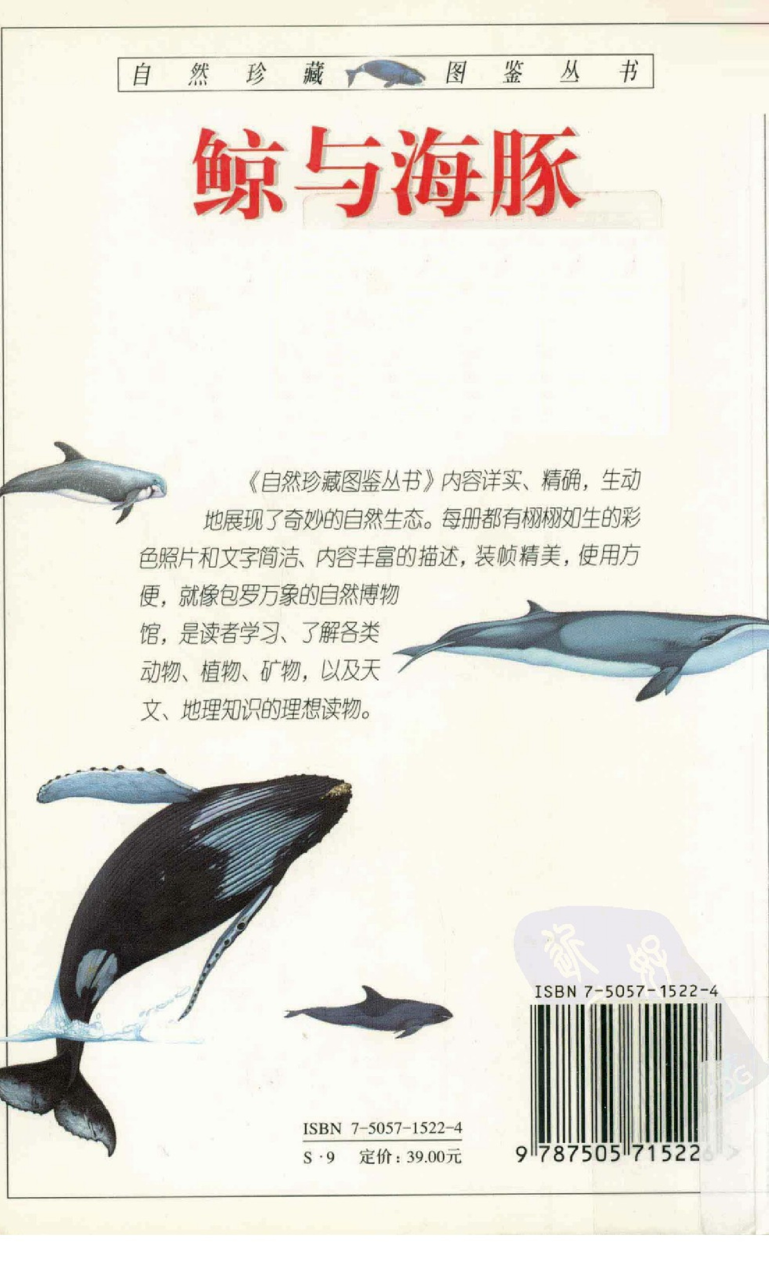 [鲸与海豚图鉴].pdf 第3页