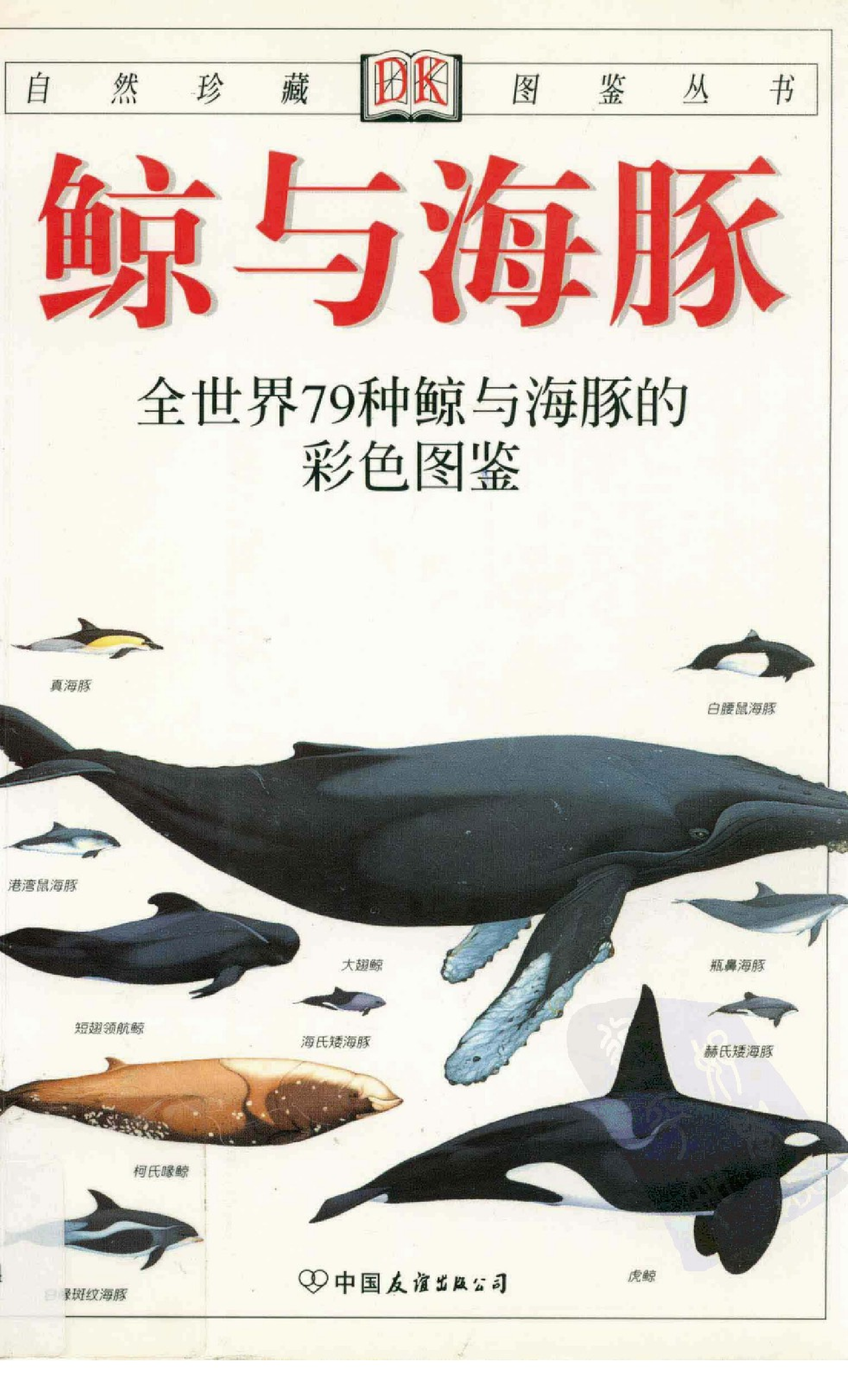 [鲸与海豚图鉴].pdf 第1页