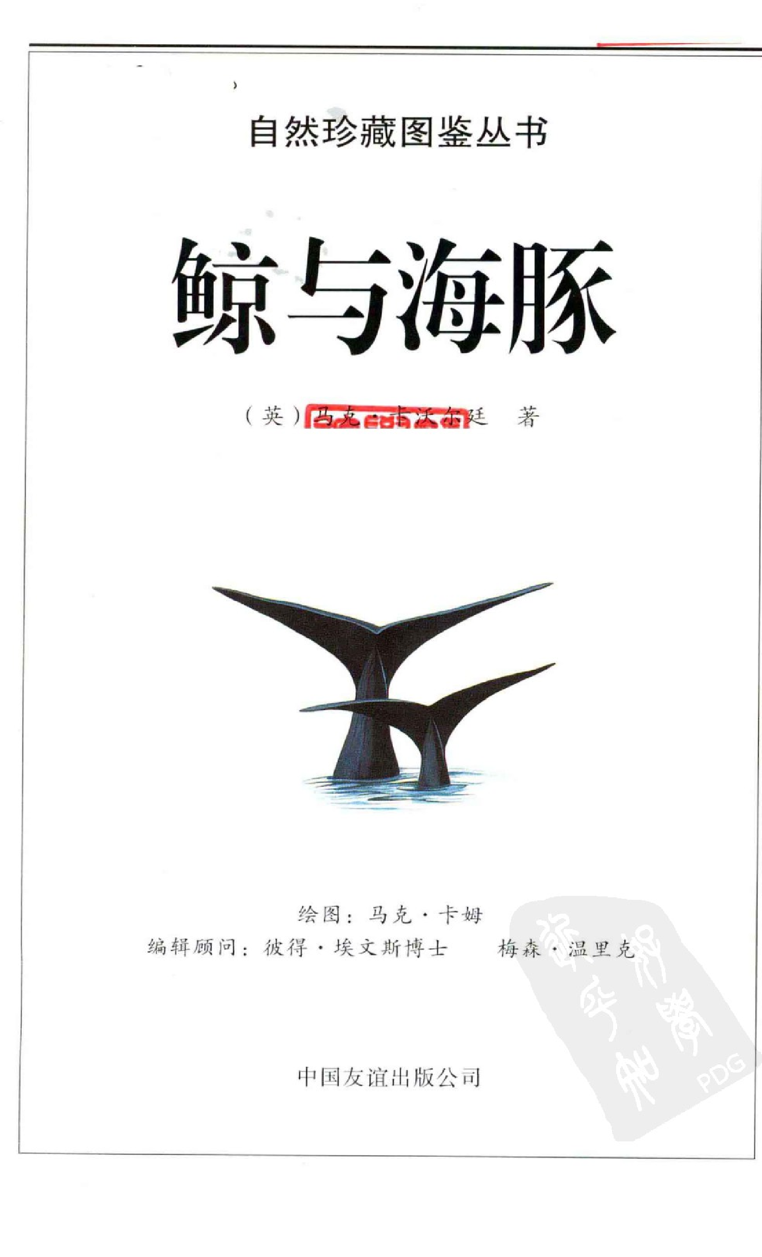 [鲸与海豚图鉴].pdf 第6页