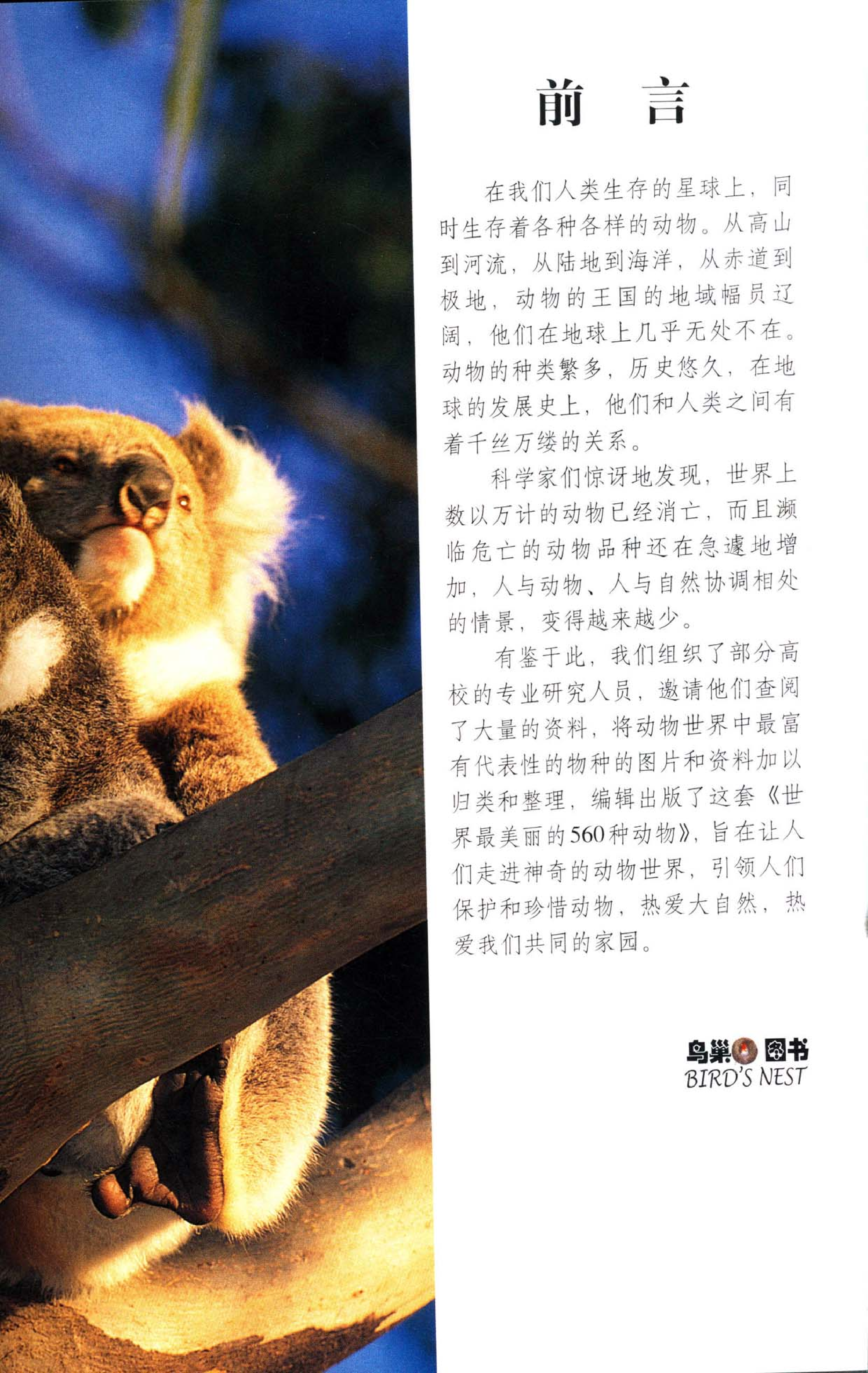 《世界最美丽的560种动物-1》主编：溥奎.pdf 第5页