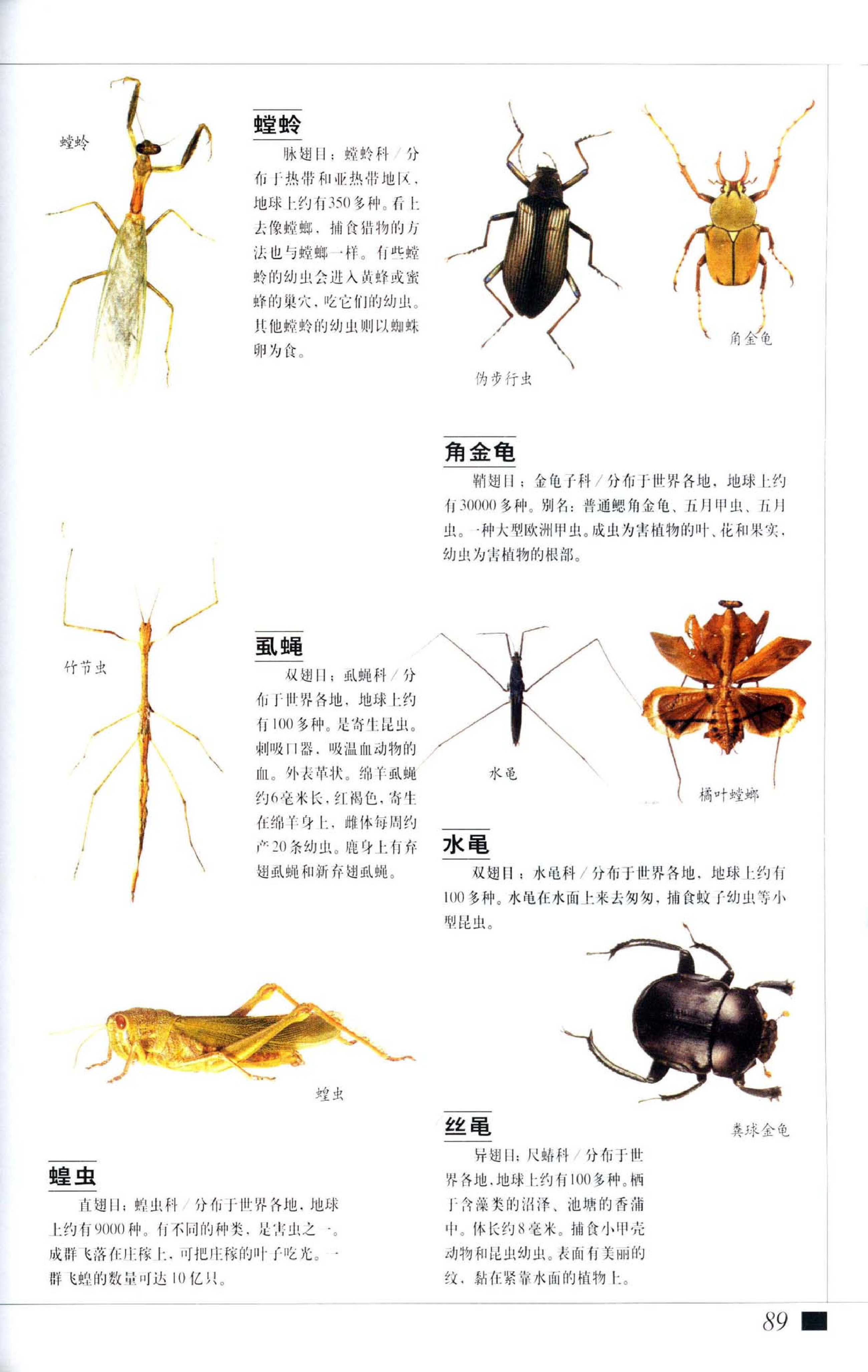 《世界最美丽的560种动物-2》主编：溥奎.pdf 第3页