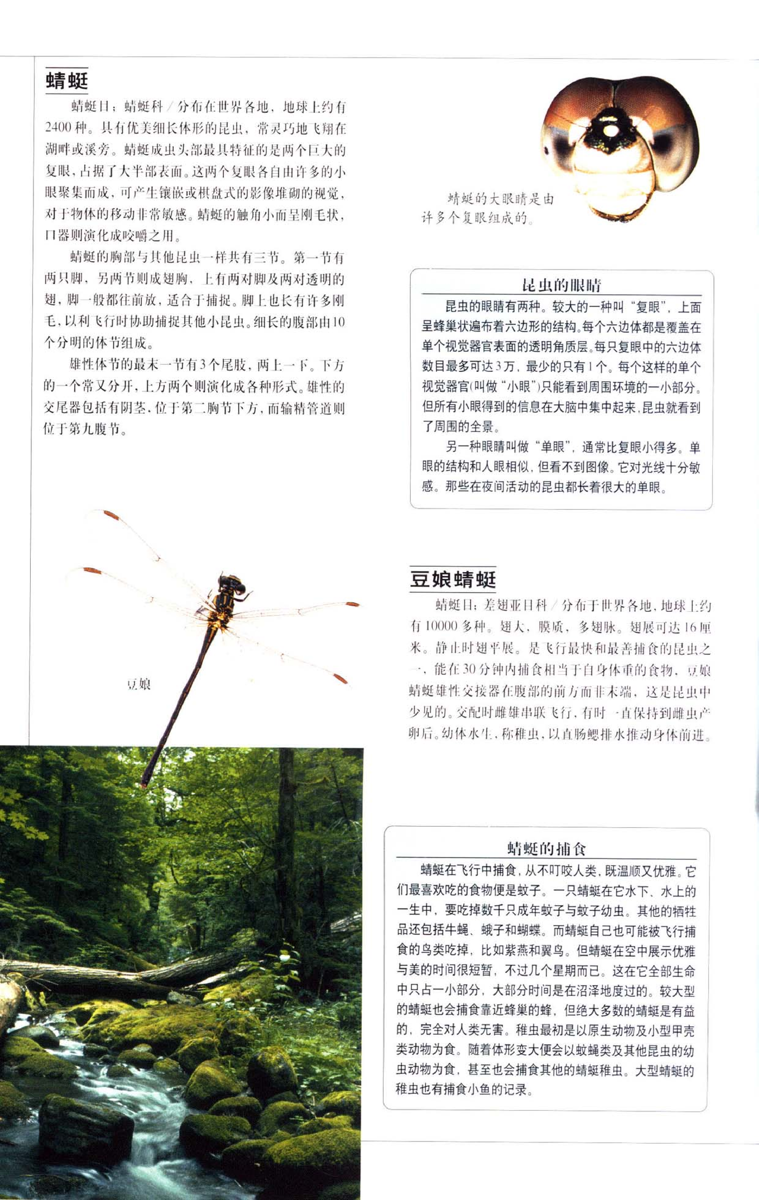 《世界最美丽的560种动物-2》主编：溥奎.pdf 第4页
