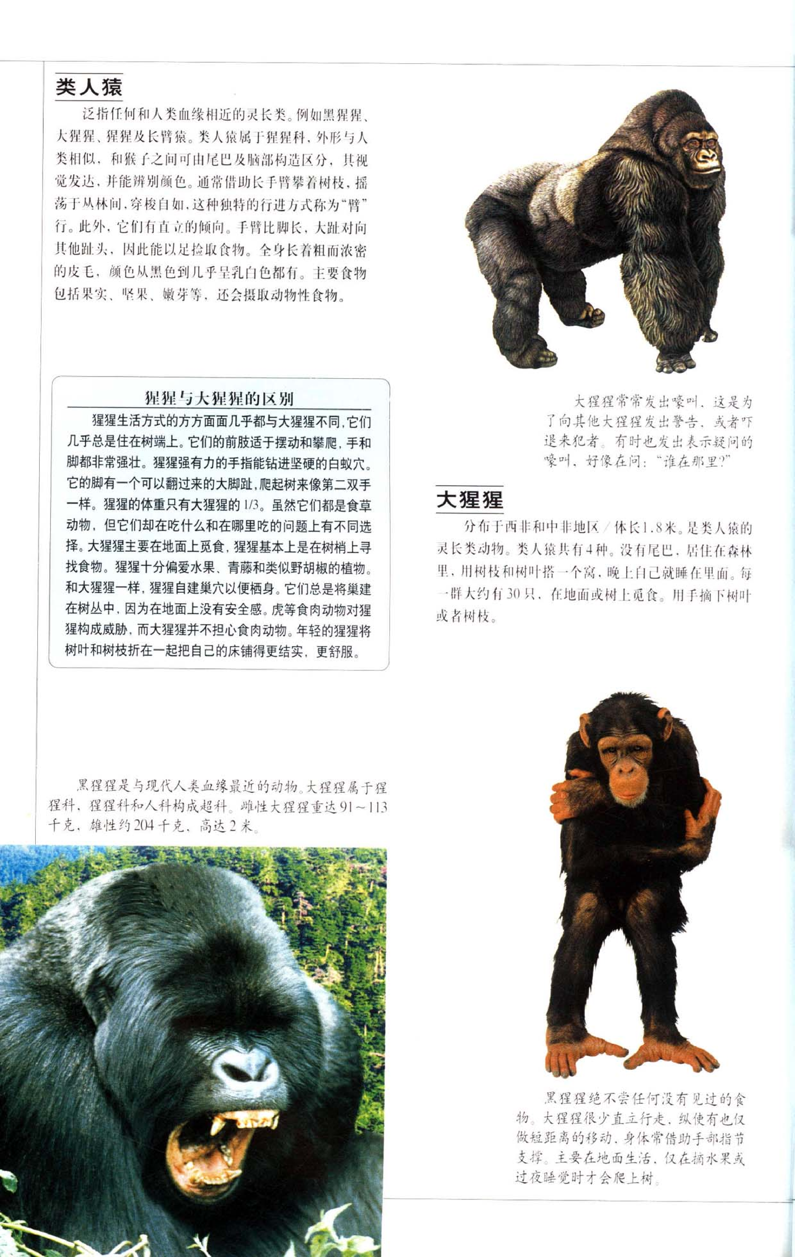 《世界最美丽的560种动物-4》主编：溥奎.pdf 第5页